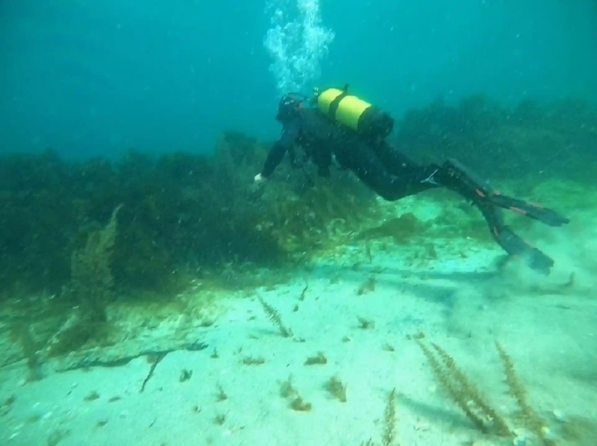 Photo du site de plongée