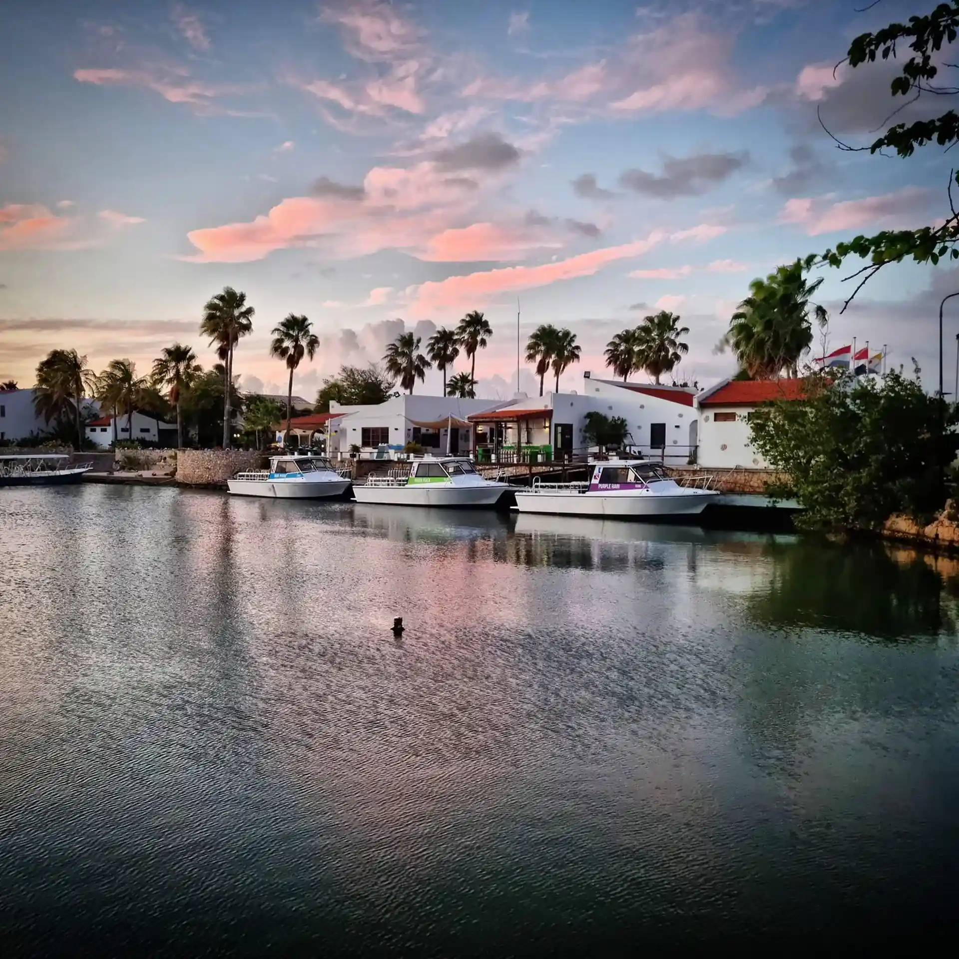 Dive shop photo