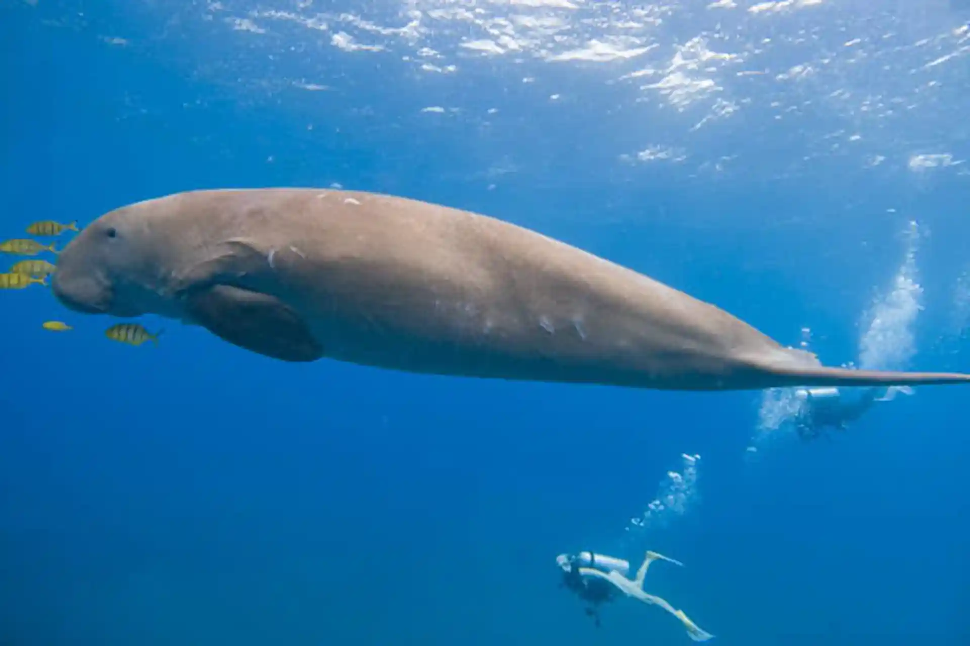 Photo de l'activité