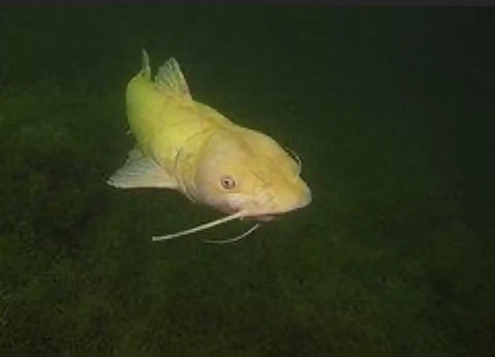 Dive site photo