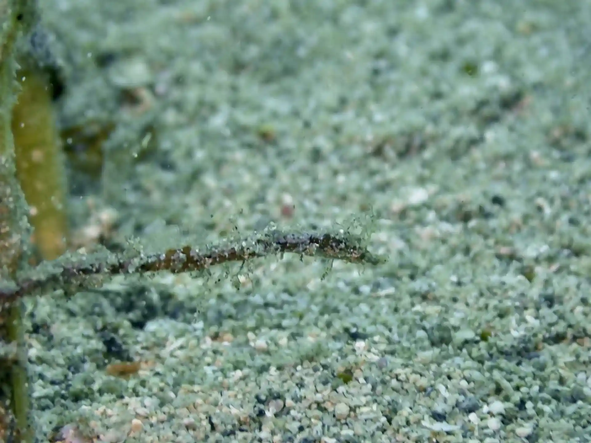 Dive site photo
