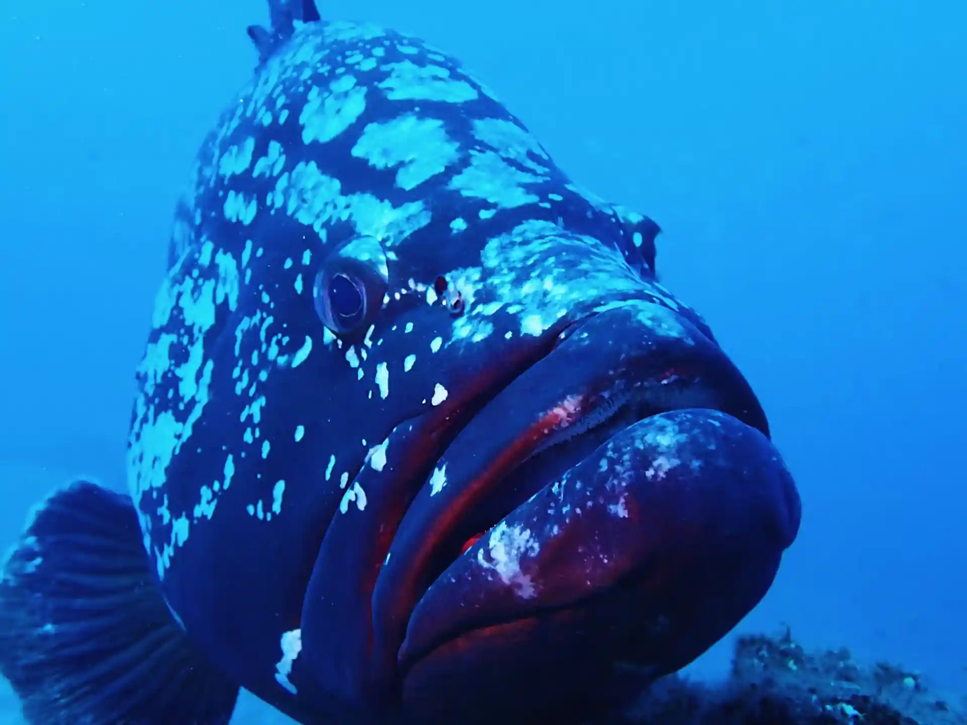 Foto de la actividad