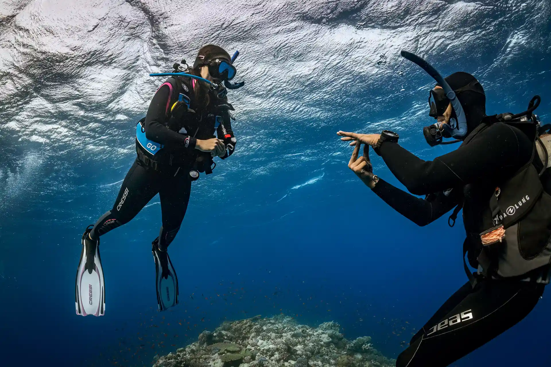 Get your licence to dive anywhere in the world