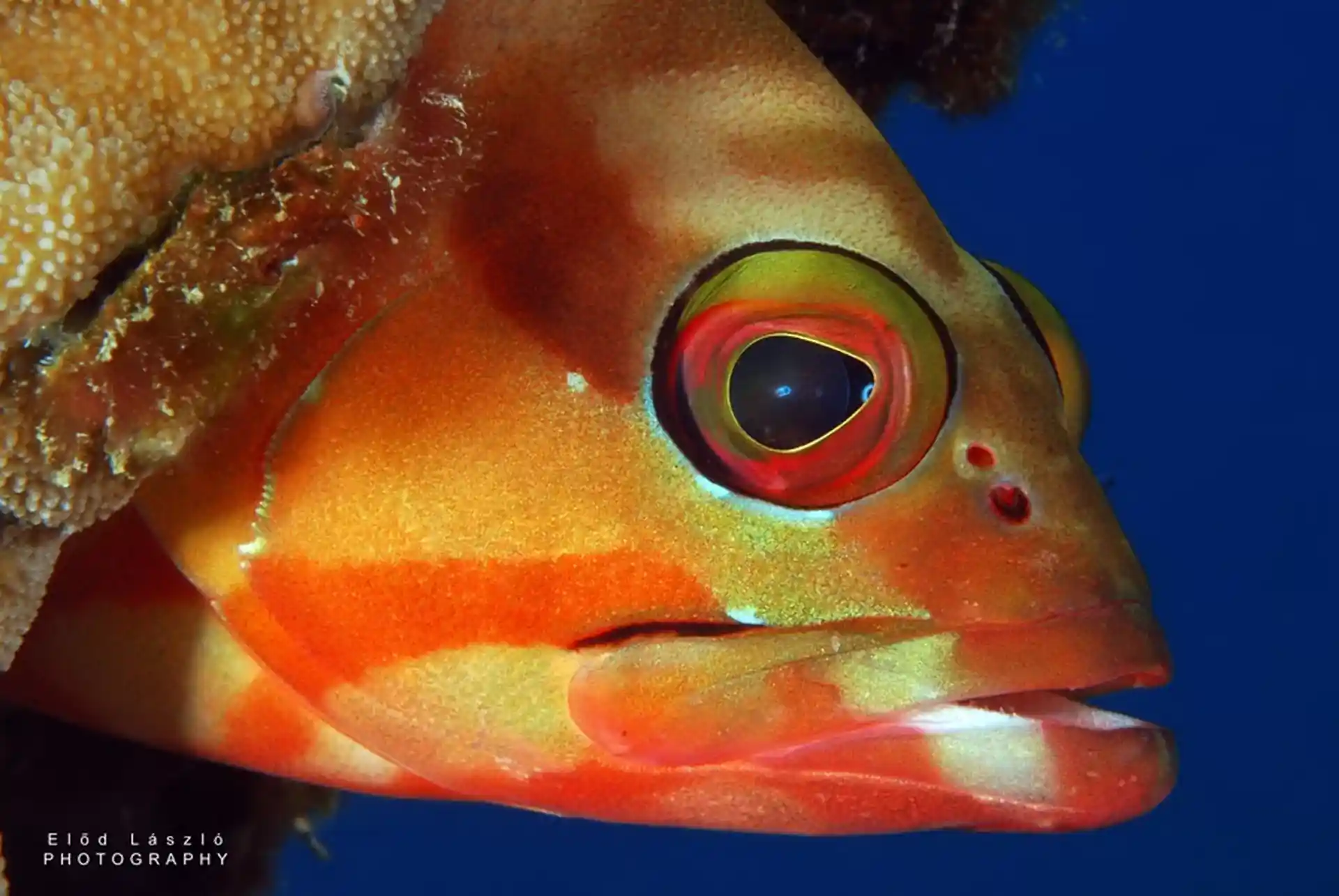 Dive shop photo