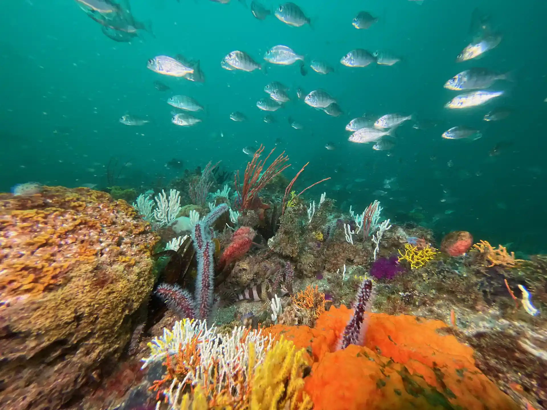 Dive shop photo