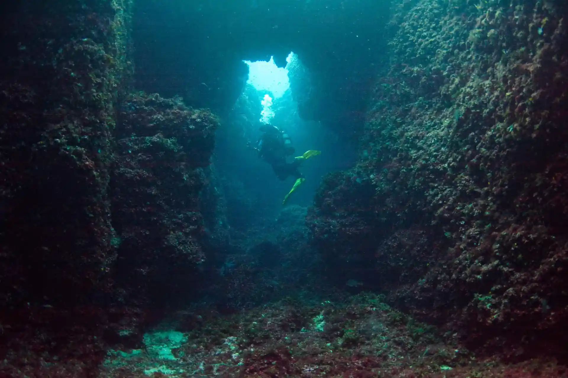 Dive site photo