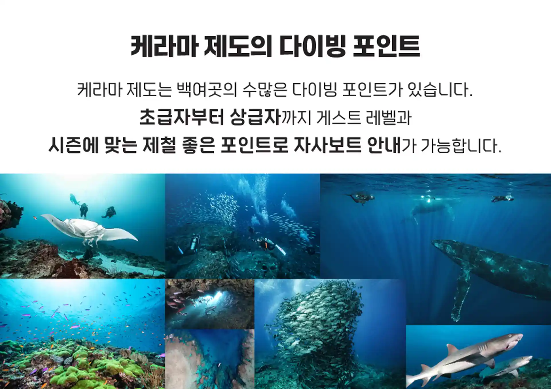 hongstar☆ページです♡ HONG STAR DIVE | Okinawa | PADI Dive Center