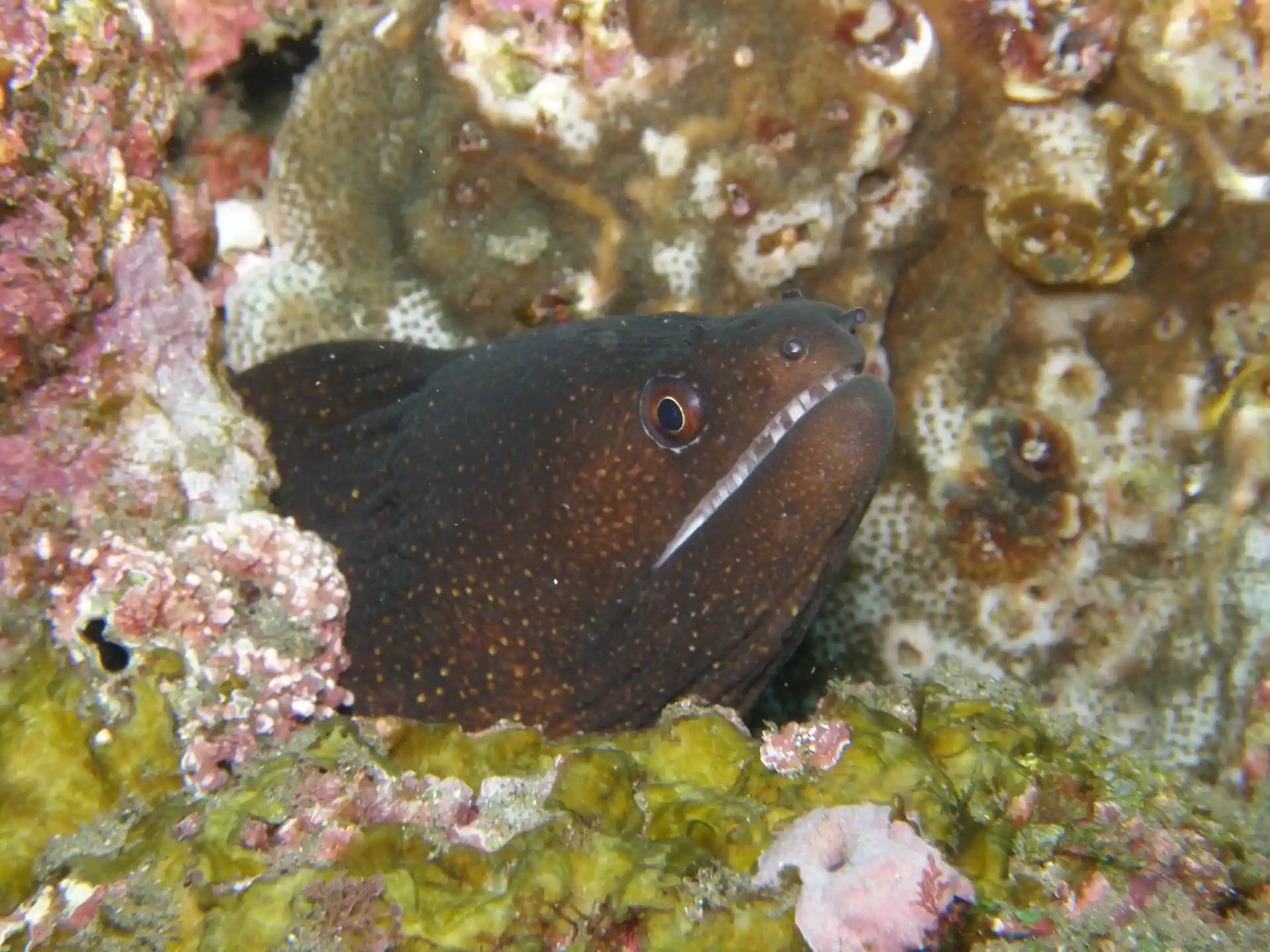 Dive site photo