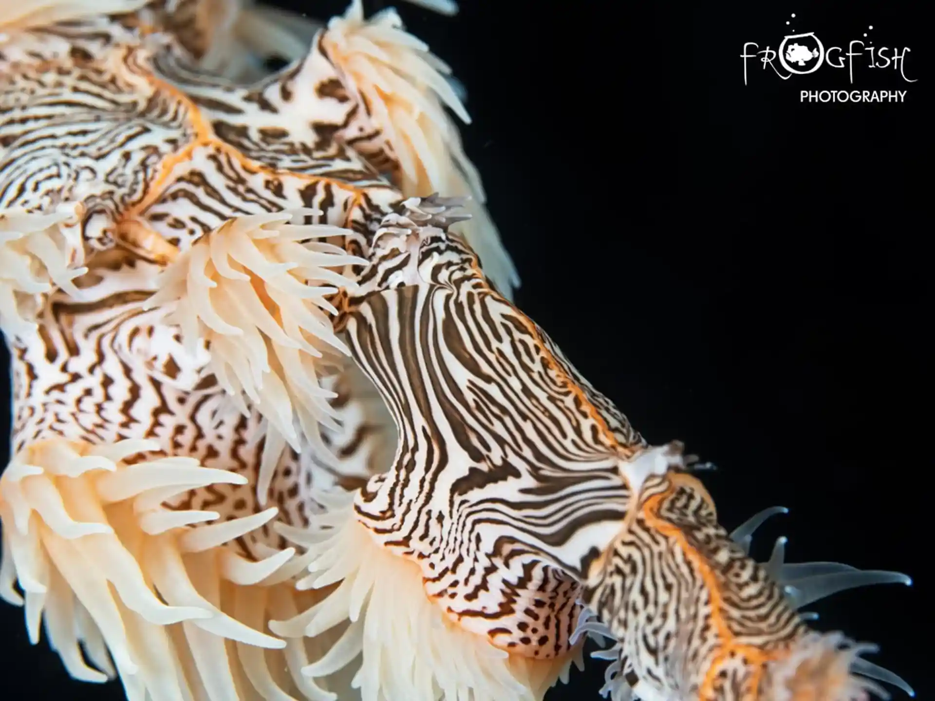 다이빙 포인트 사진