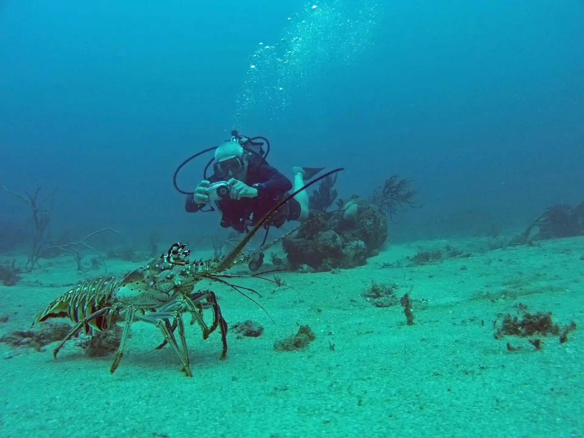 Dive site photo