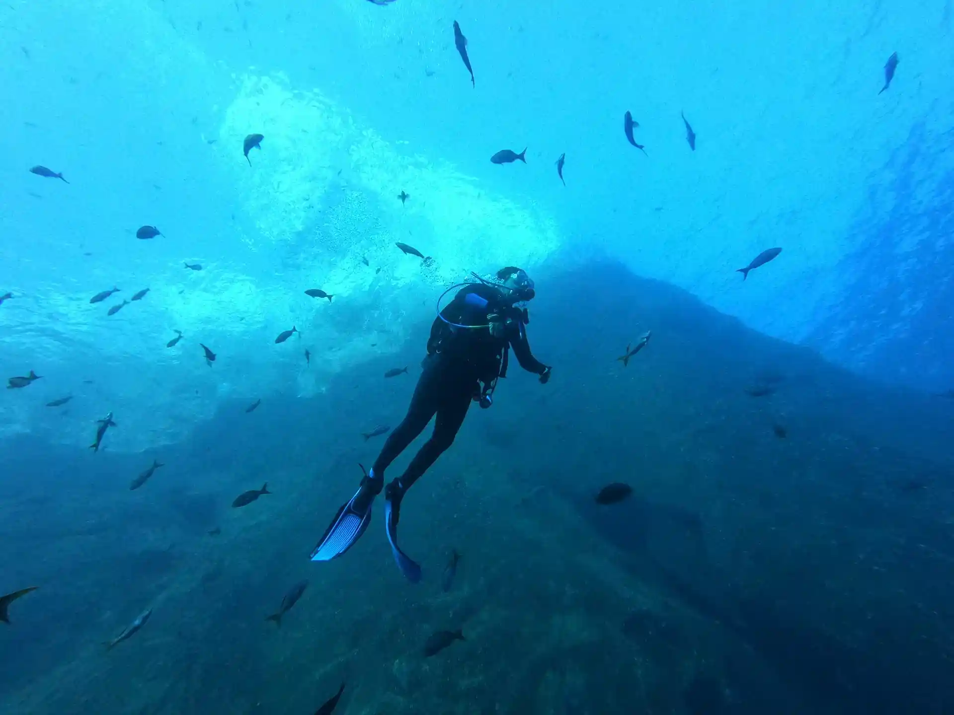 Dive shop photo