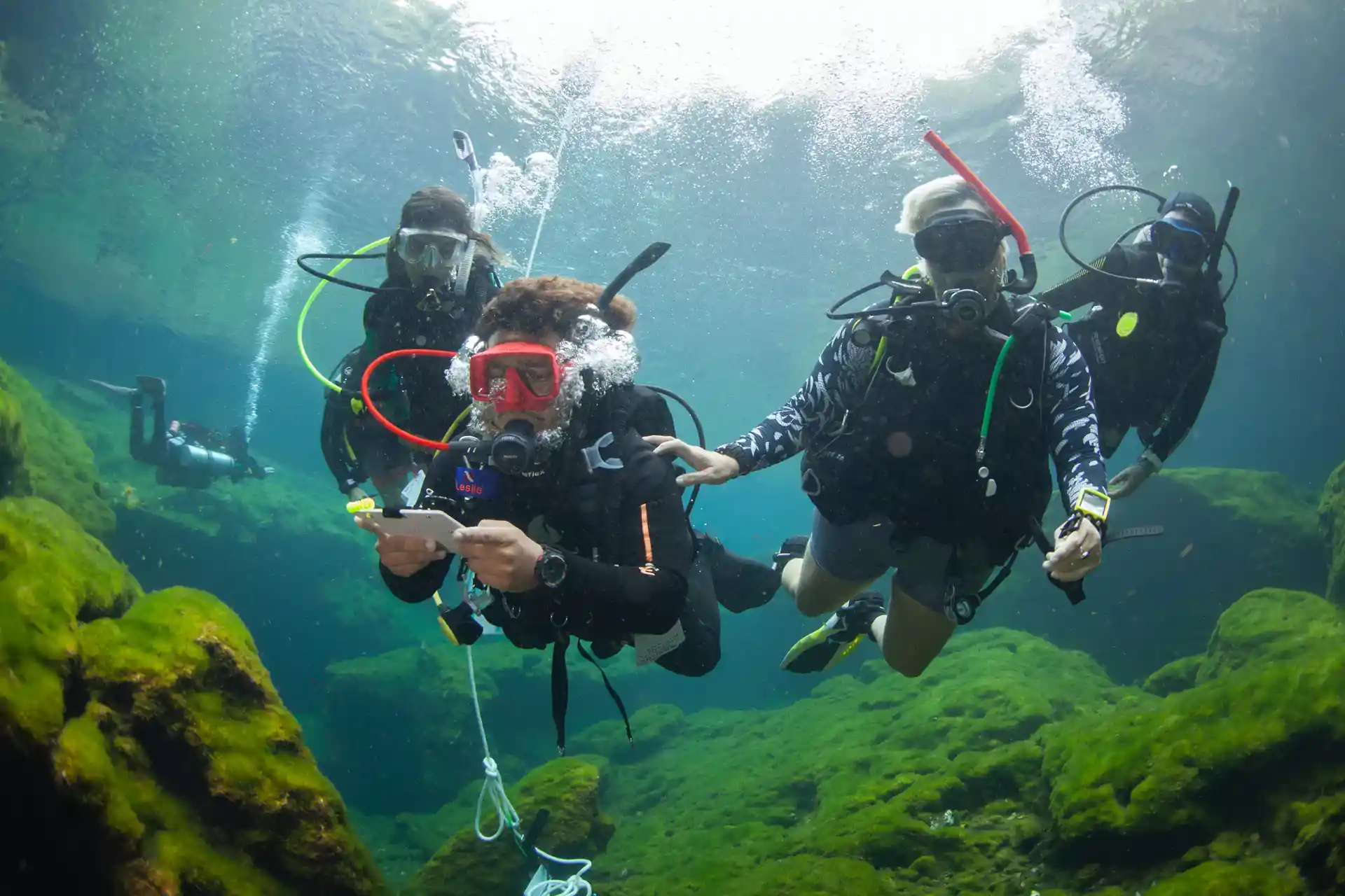 Instructor candidates in Role playing mode