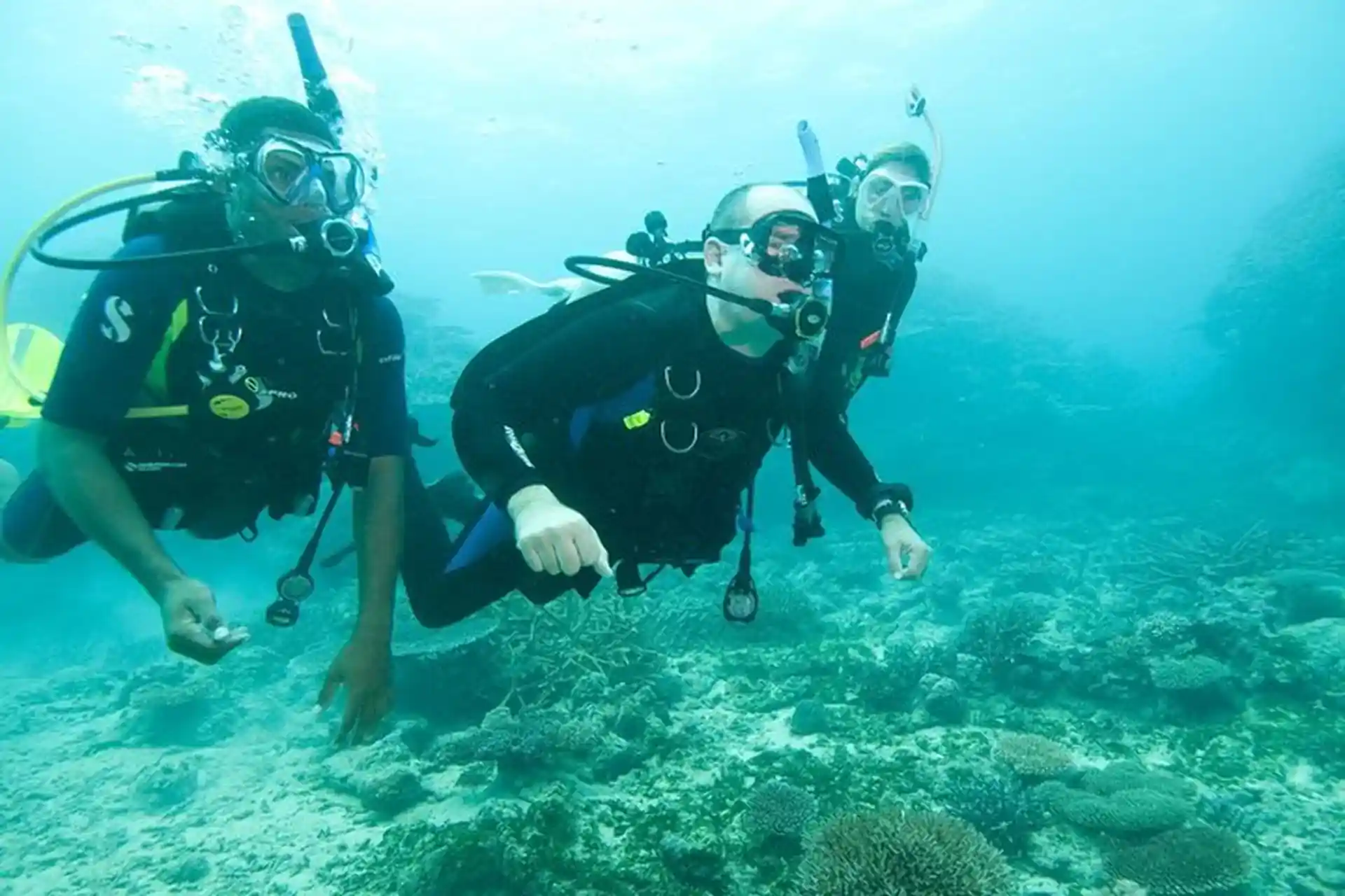 Feel safe and comfortable with our professional dive team.