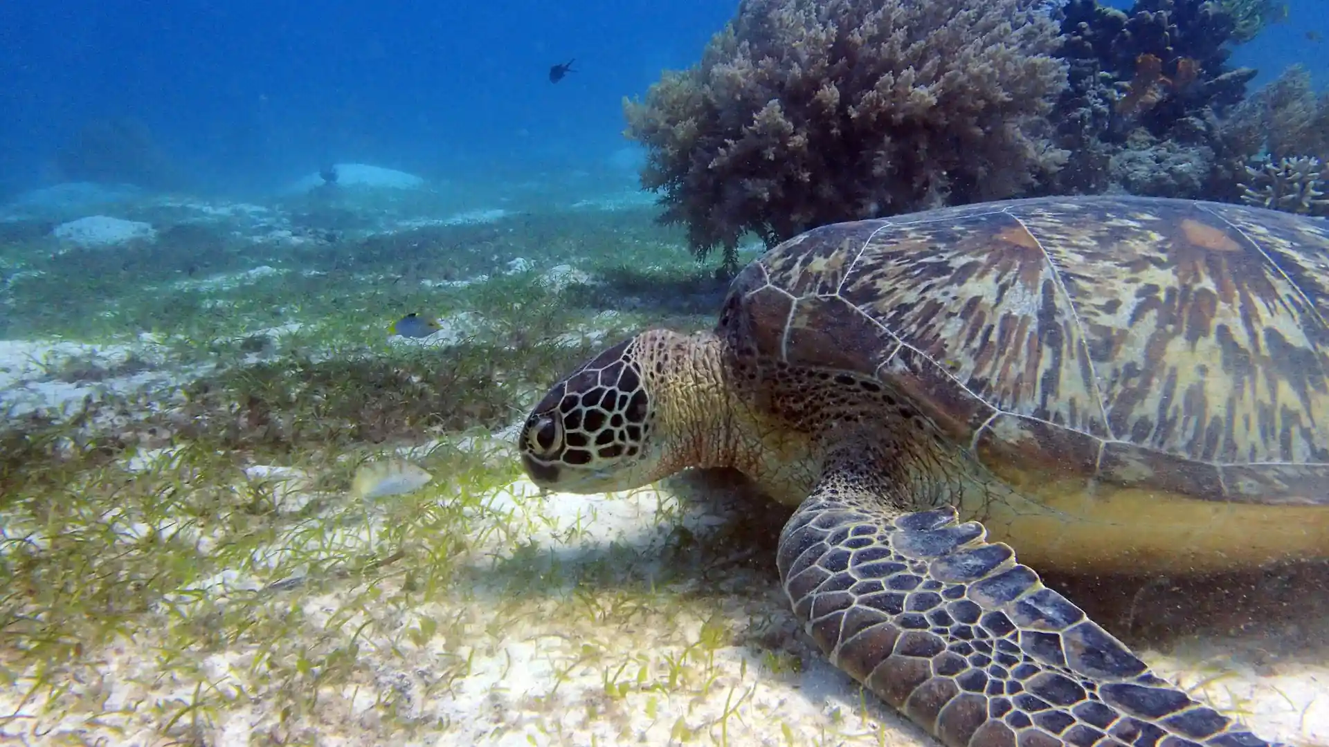 Foto des Tauchplatzes