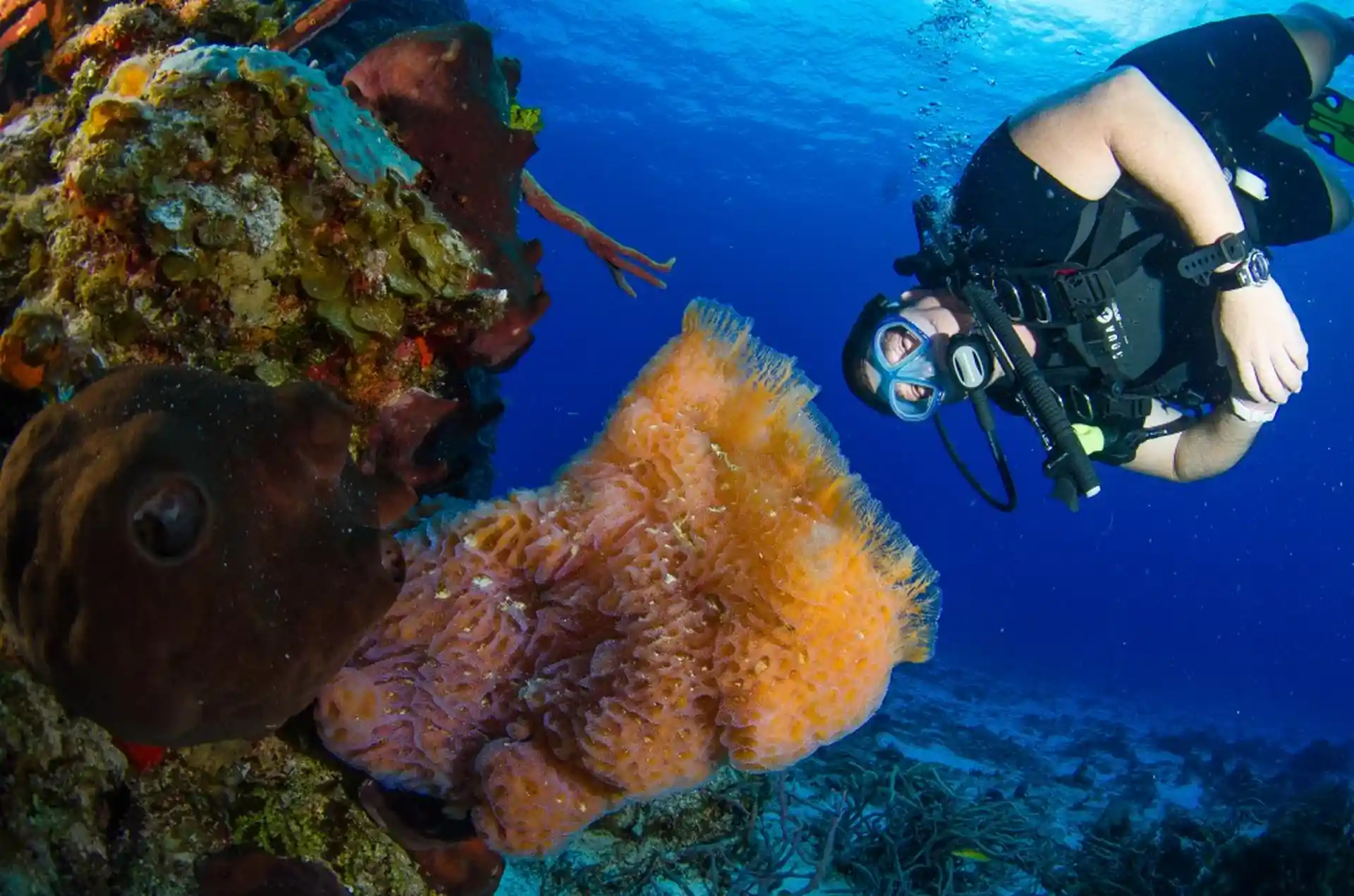 Photo de l'activité