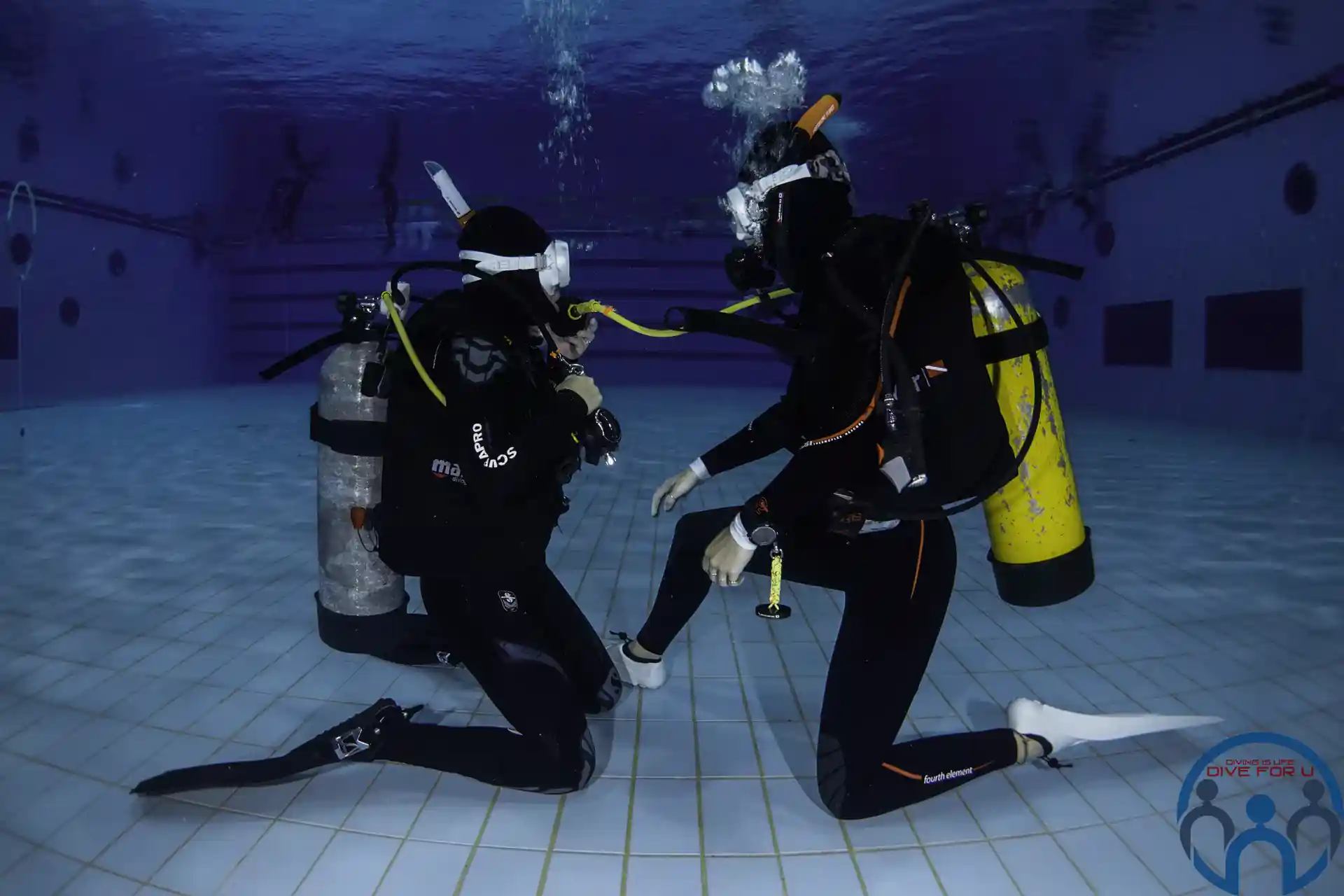 Dive shop photo