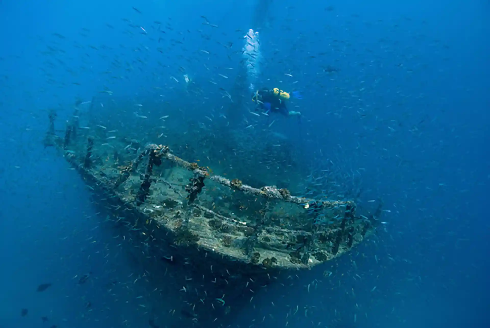 Dive site photo