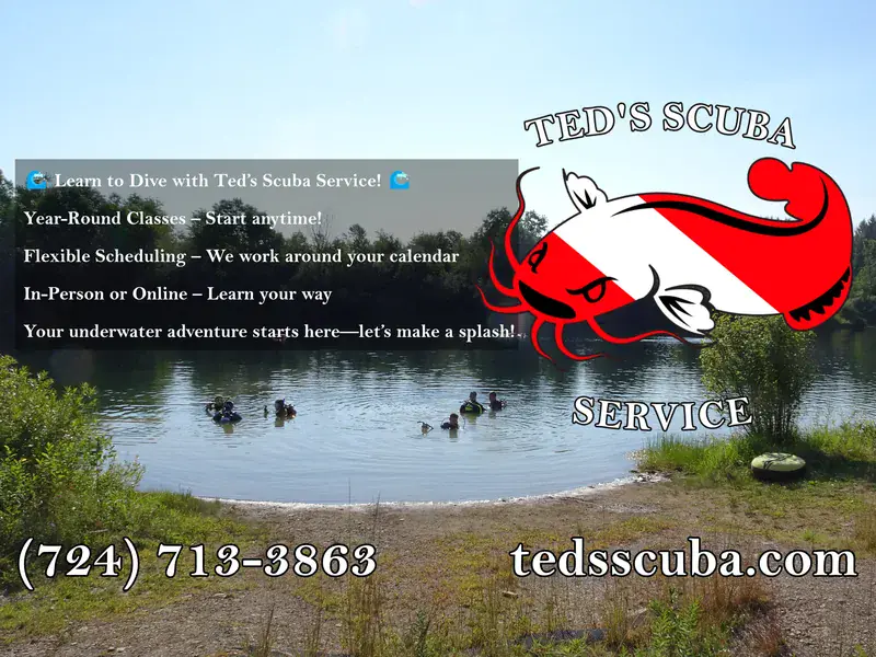 Dive operator picture