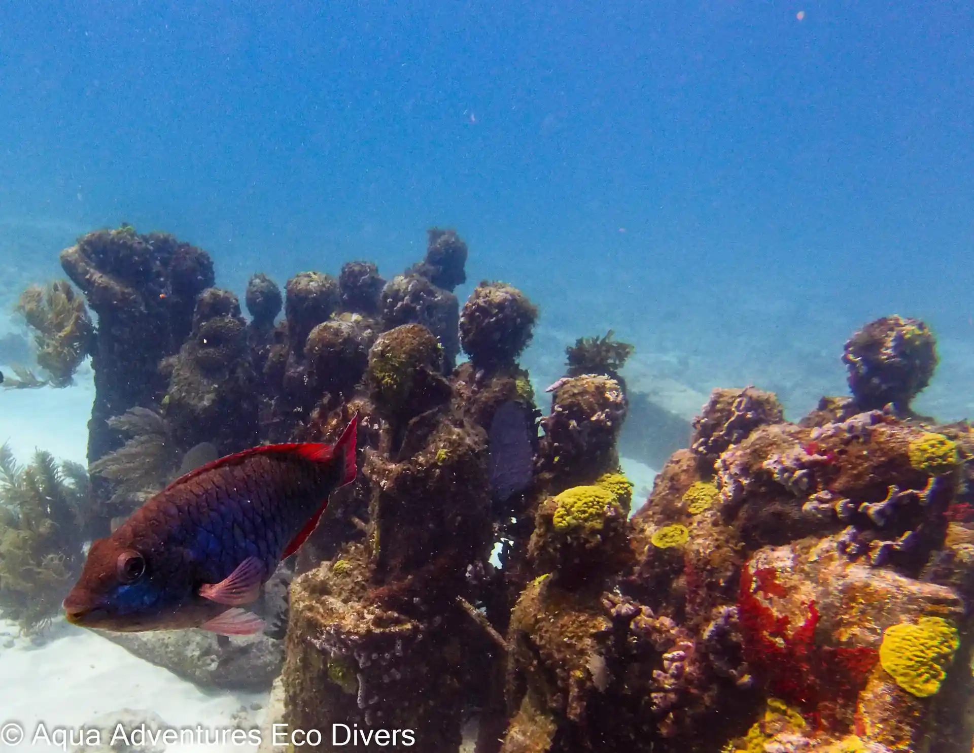 Photo de l'activité