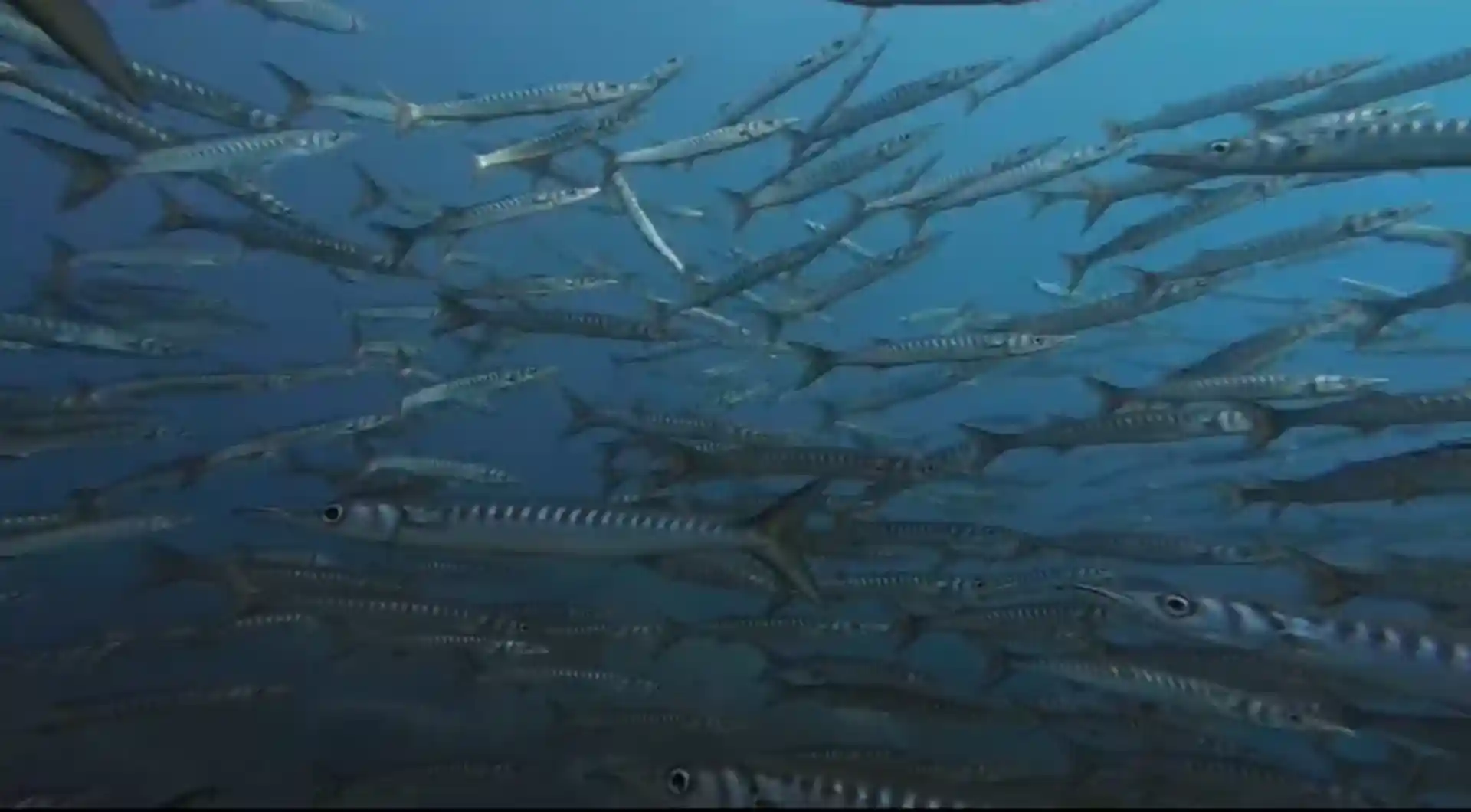 Photo de l'activité