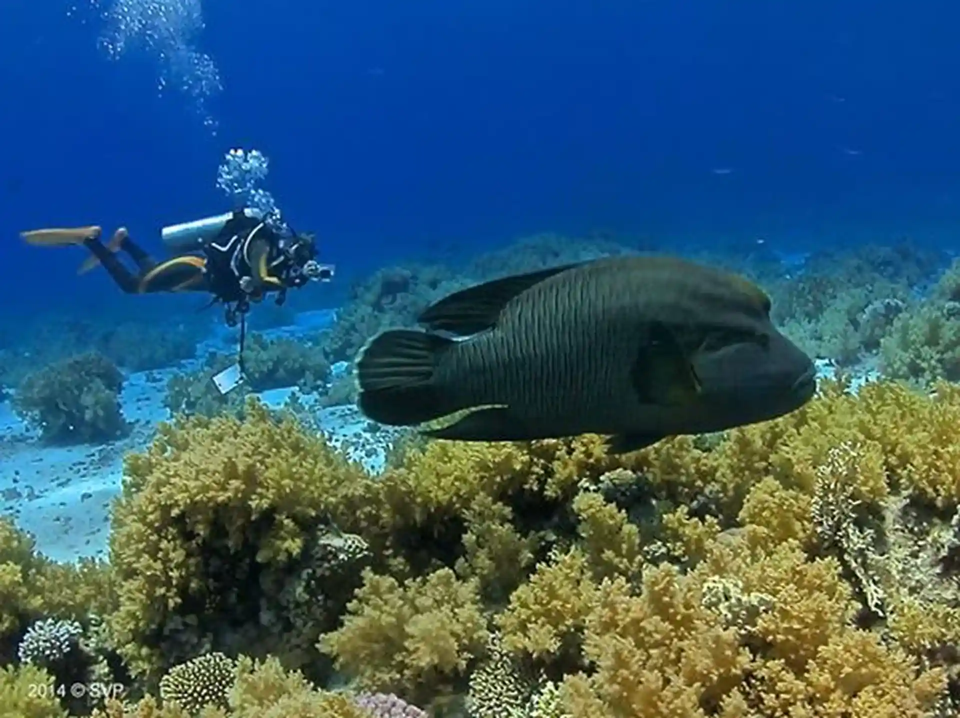 Dive shop photo