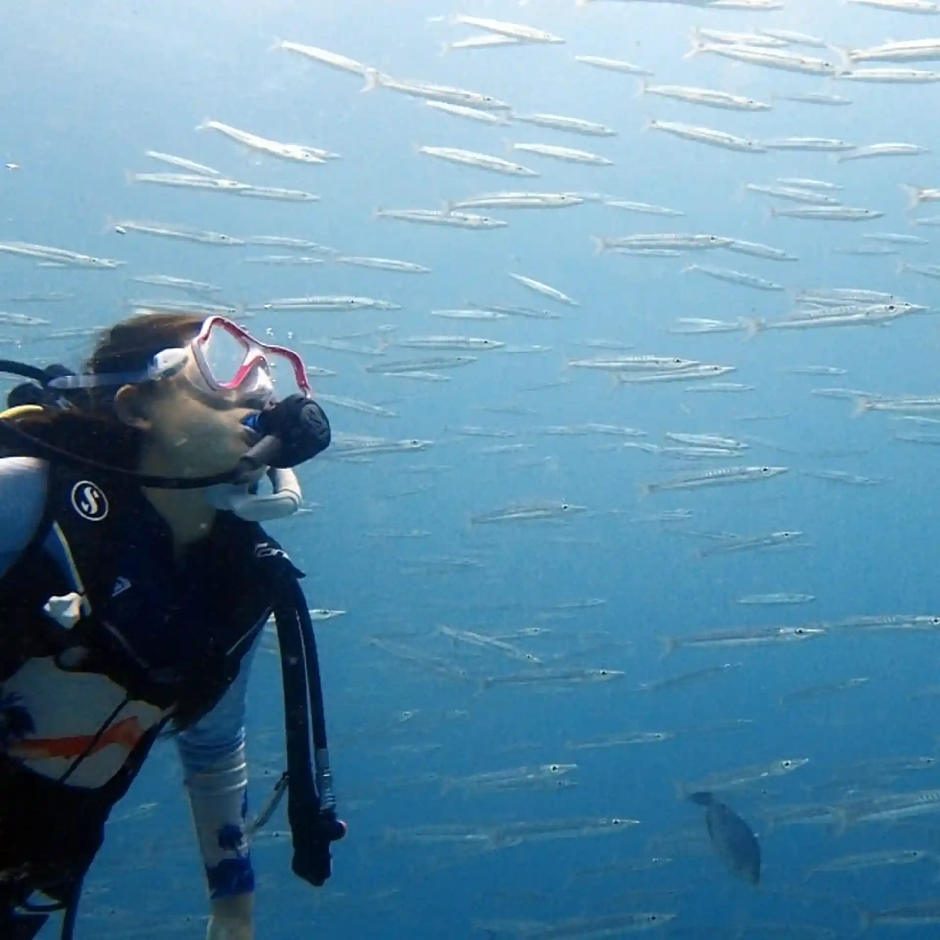 Photo du site de plongée
