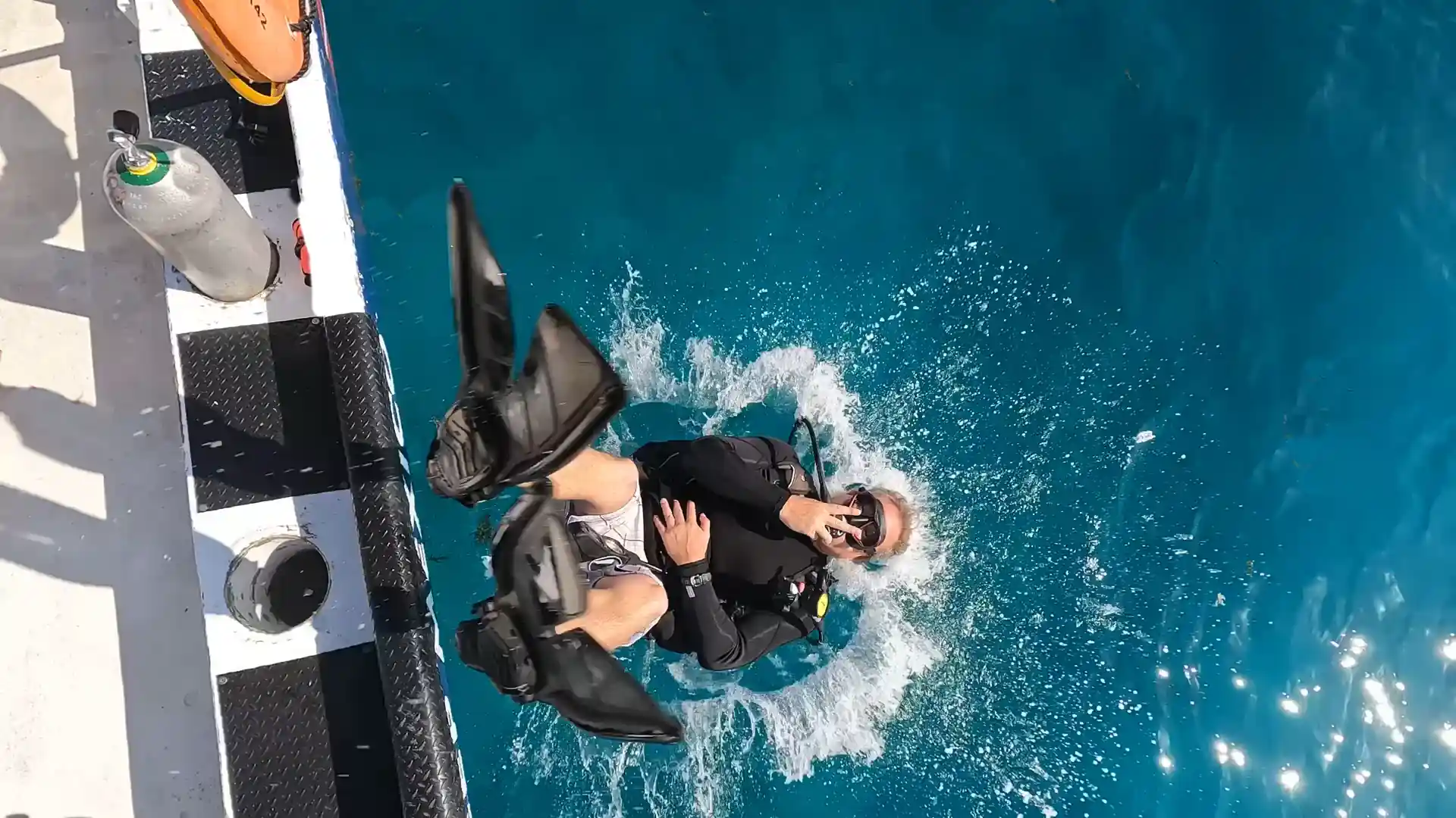 Fins Up, Splashdown!