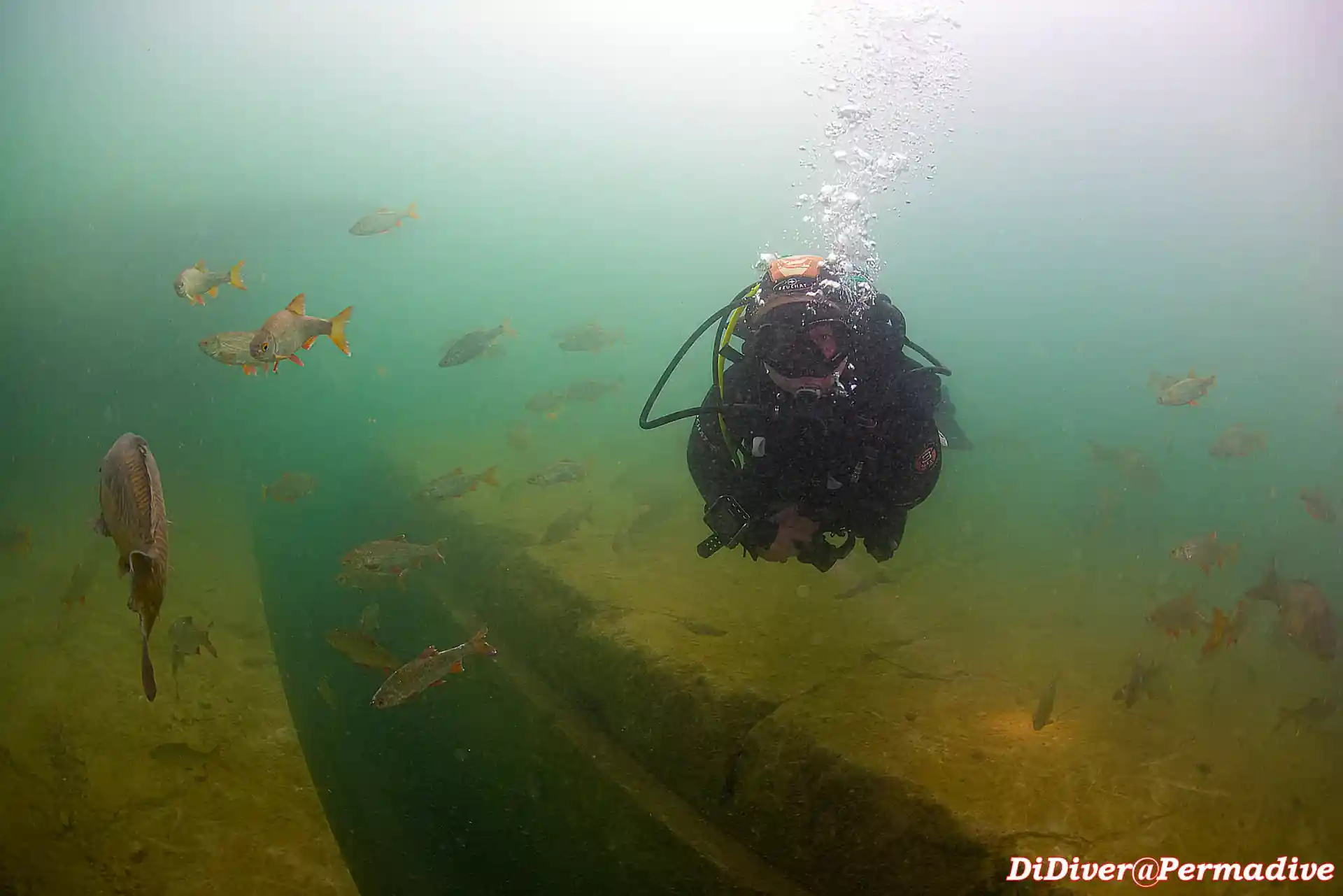 Dive site photo