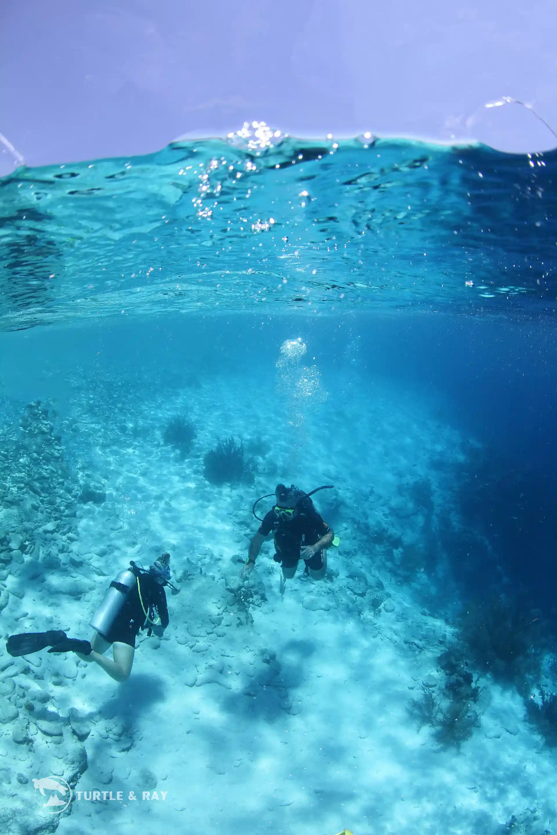 Dive shop photo