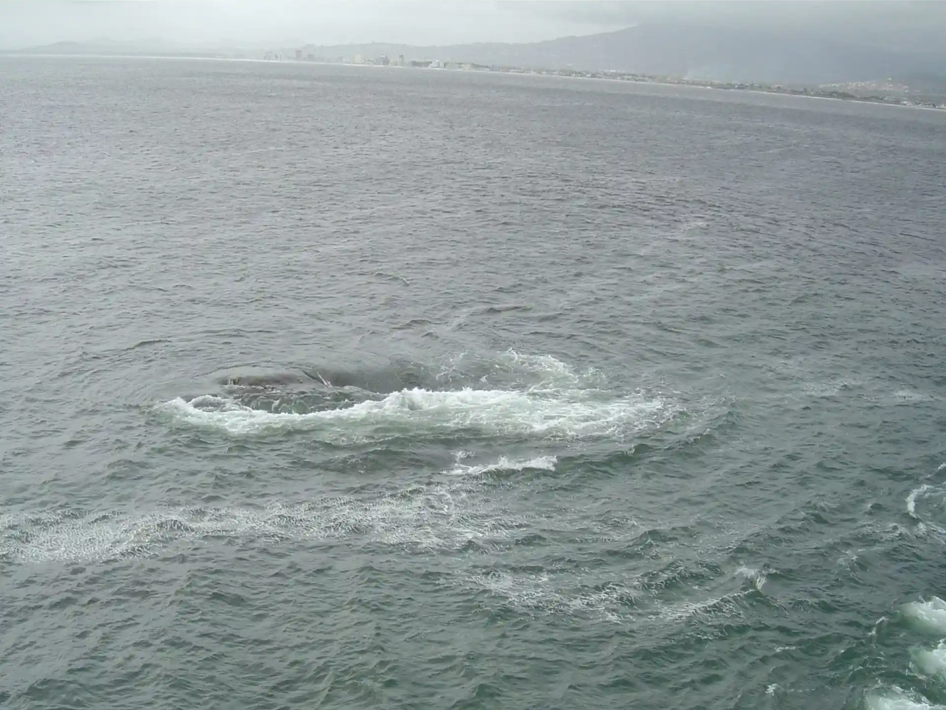 ダイビングサイトの写真