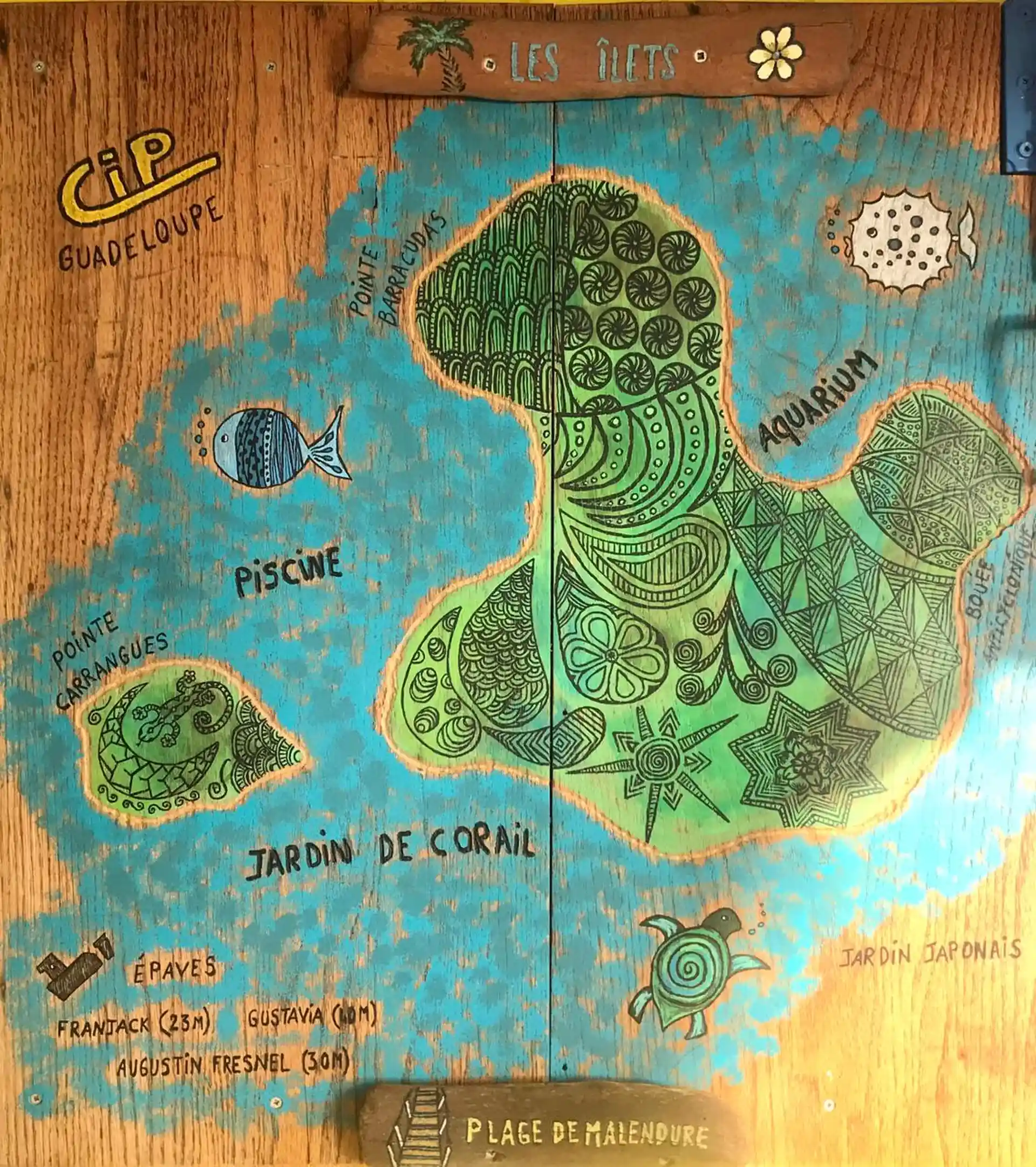 다이빙 포인트 사진