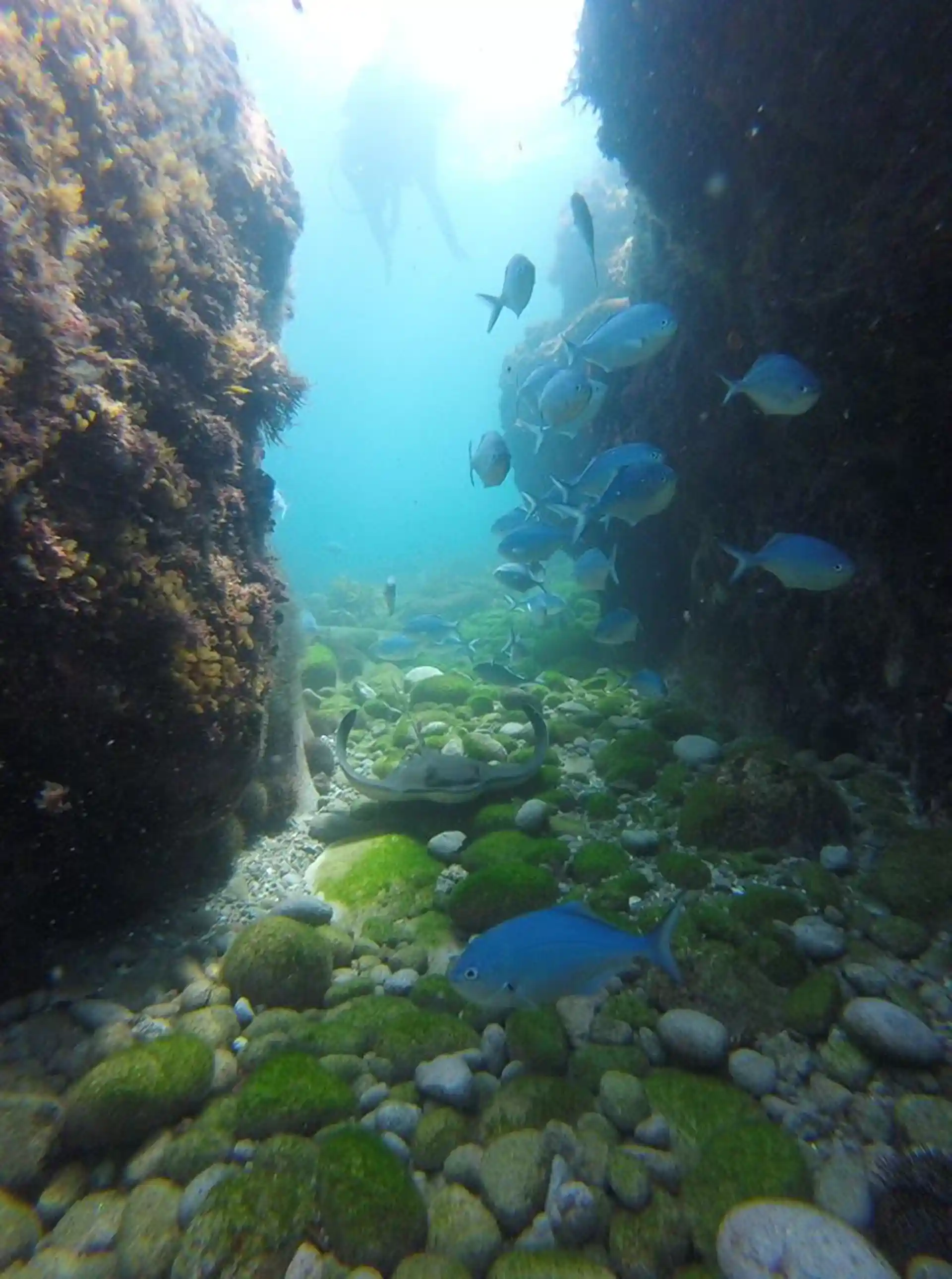 다이빙 포인트 사진