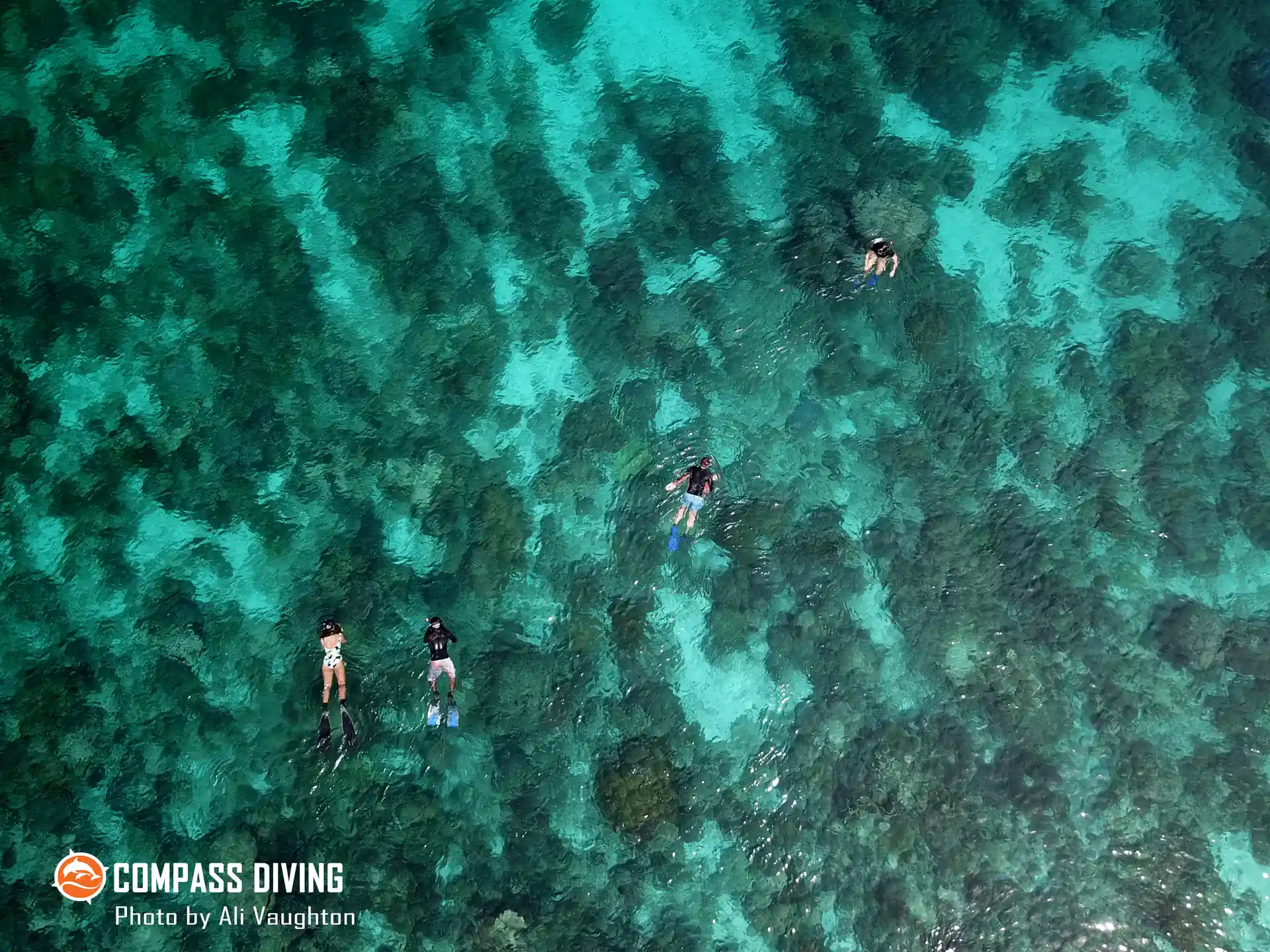 Photo de l'activité