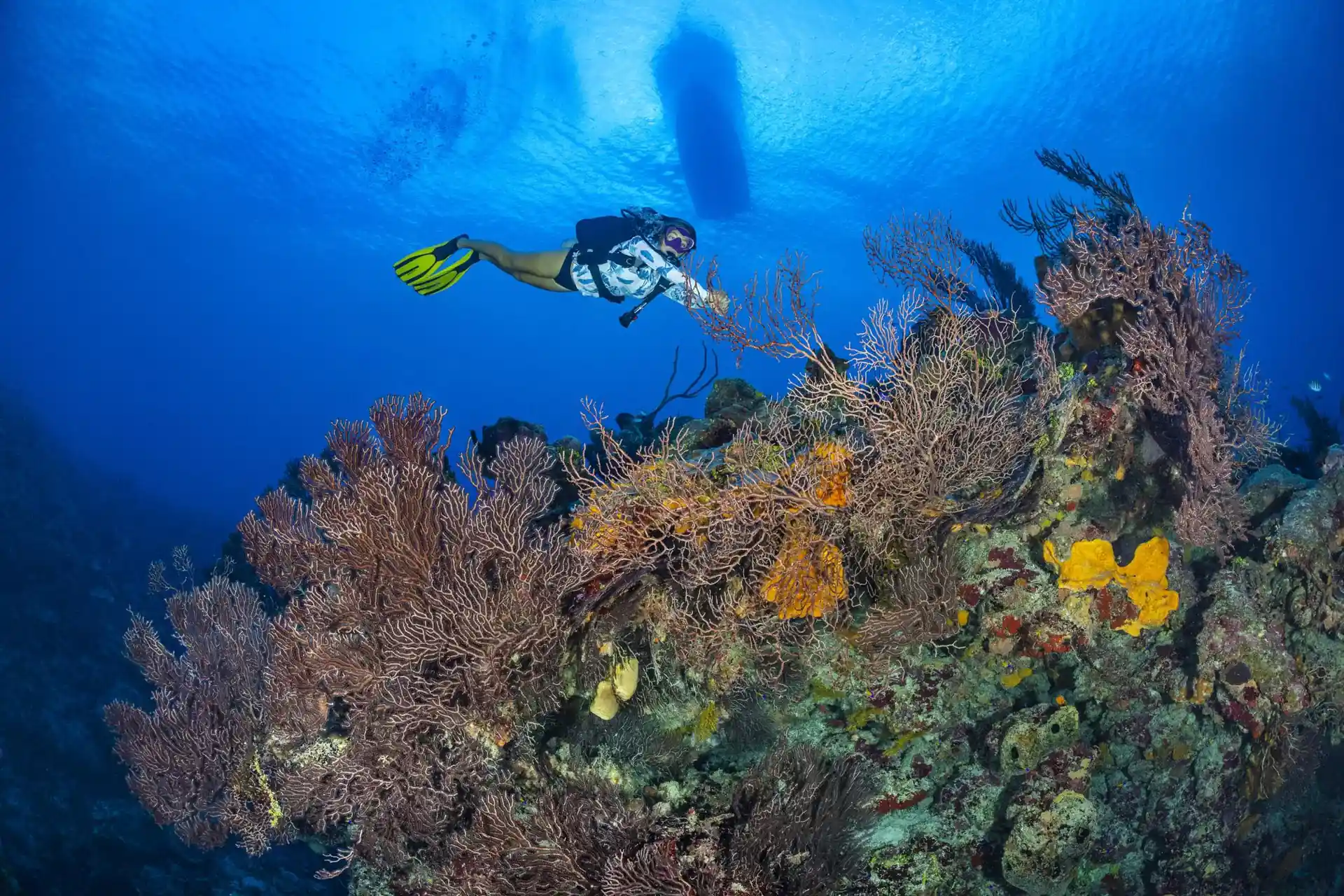 Dive site photo