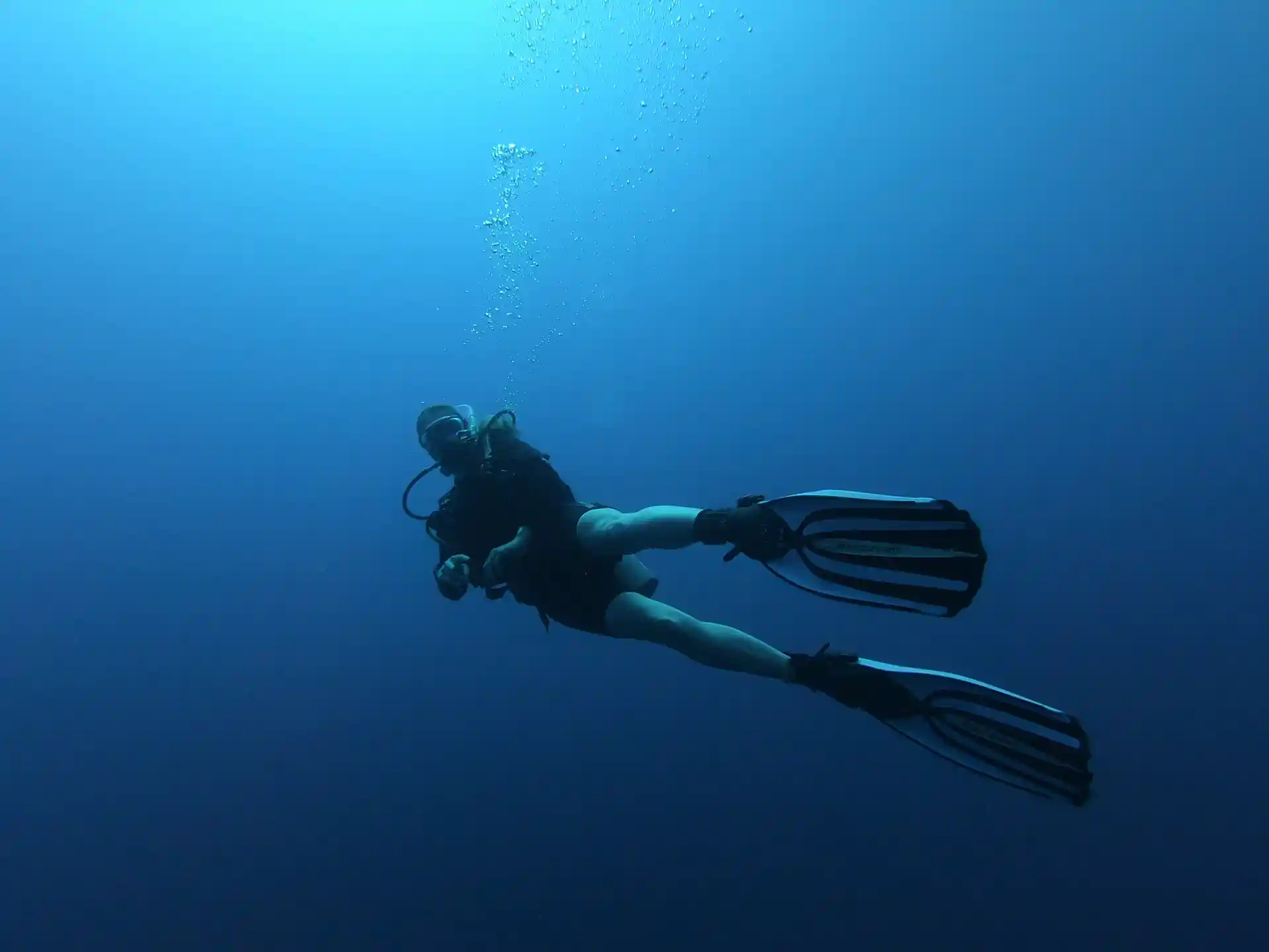 The advanced open water course in Sharm El Sheikh is your right choice, you will see a lot and learn a lot, especially that; our team`s passion is to make sure you get addicted to diving