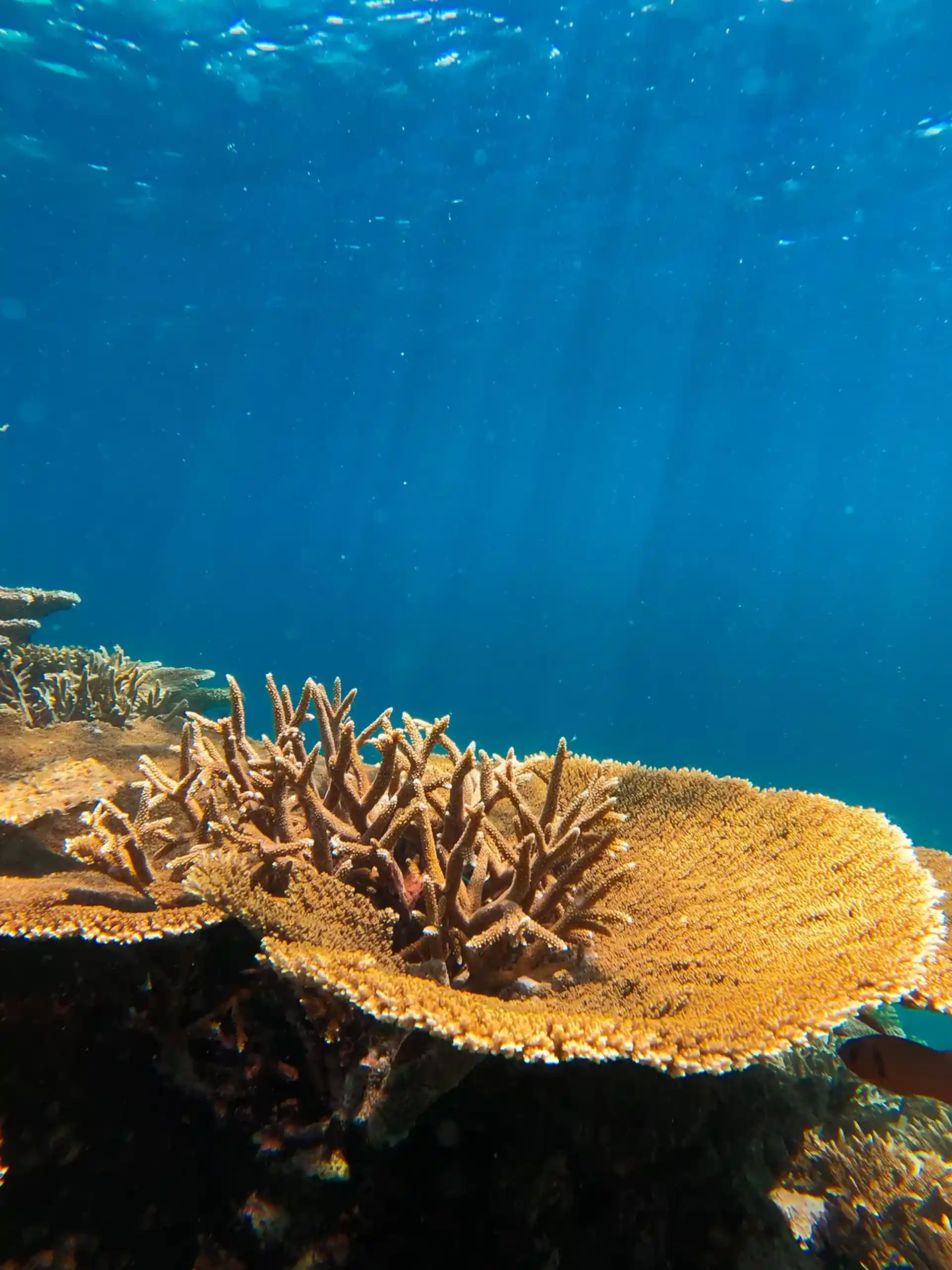 다이빙 포인트 사진