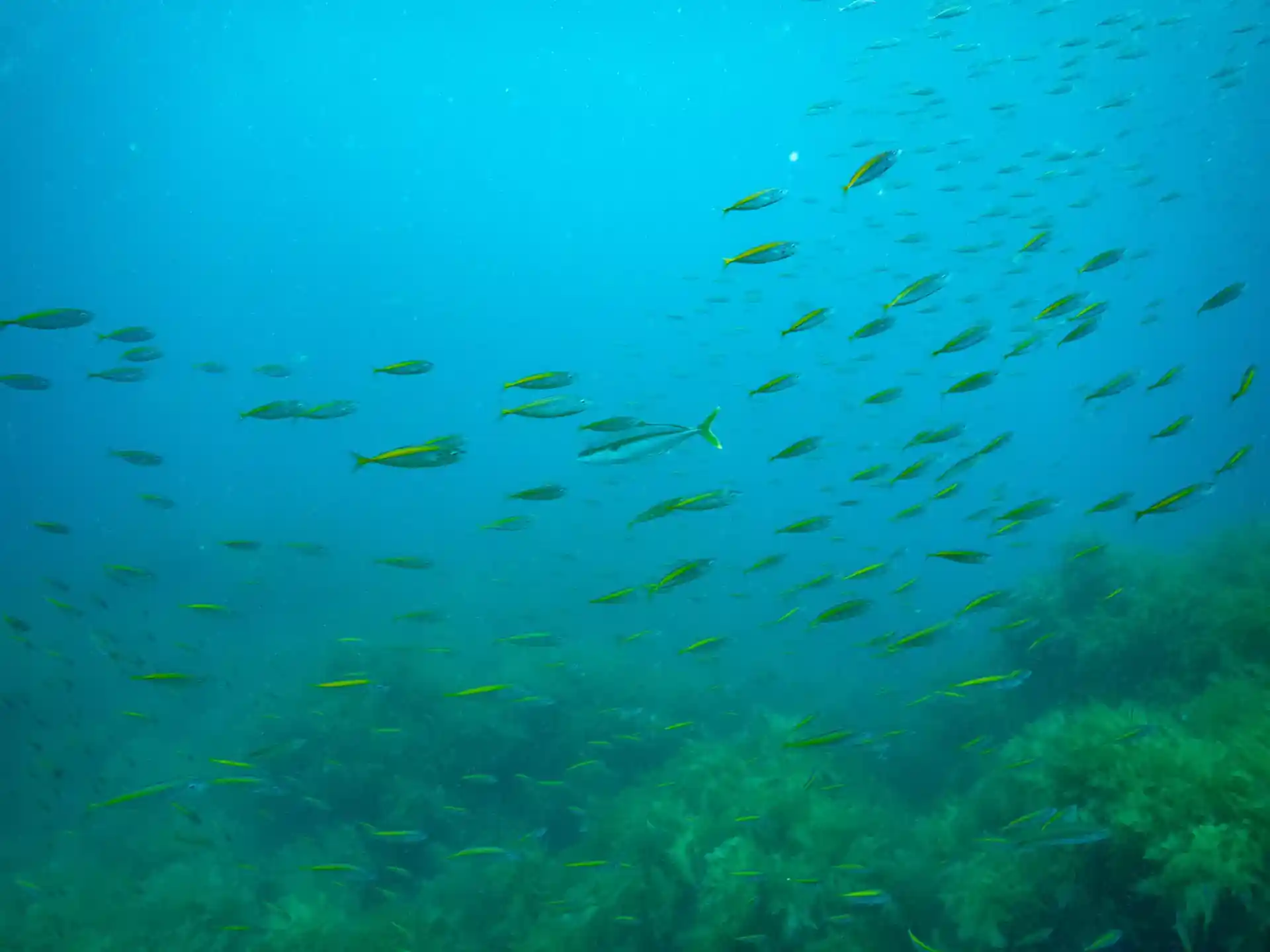 Dive site photo