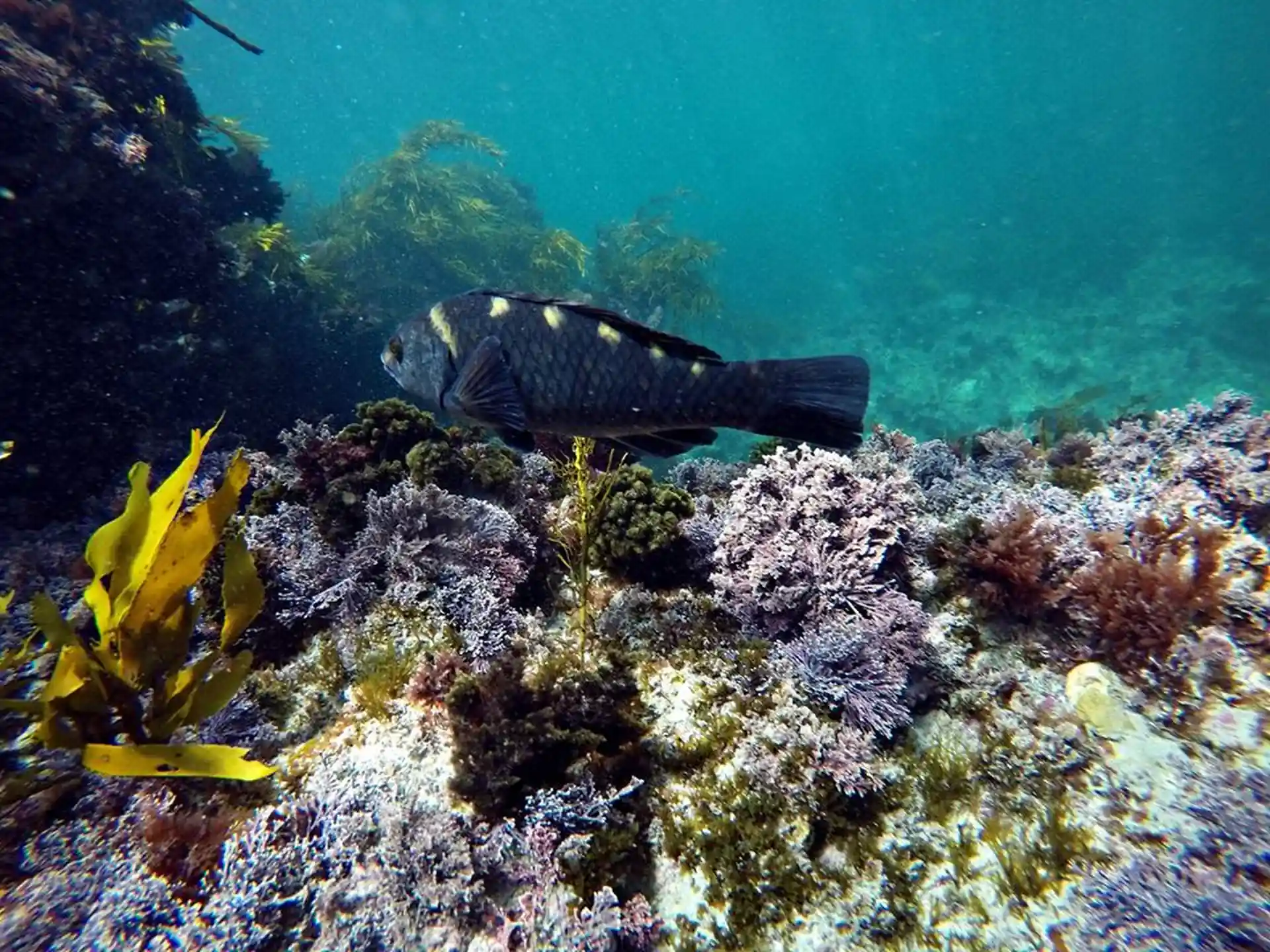 다이빙 포인트 사진