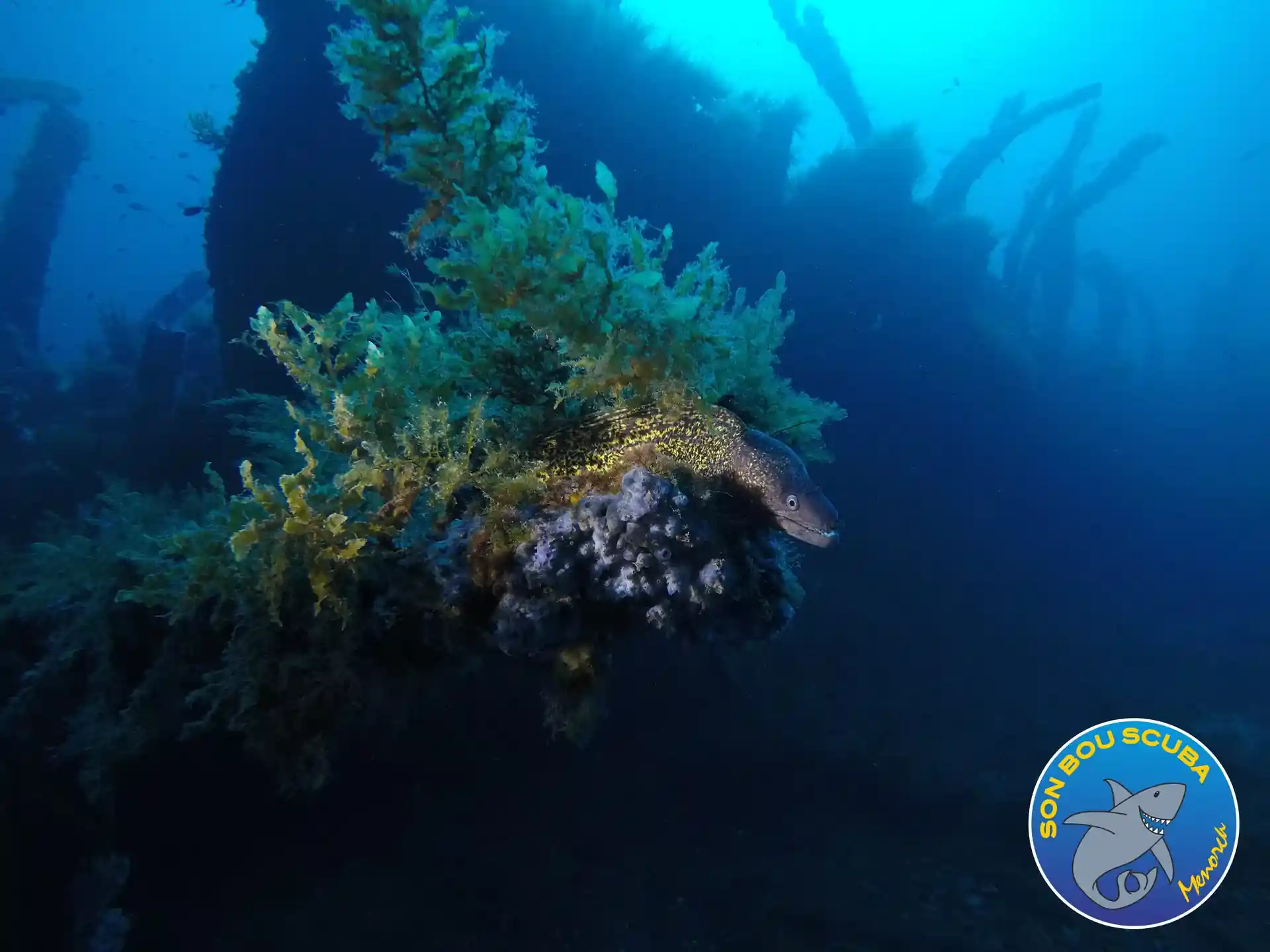 Dive site photo