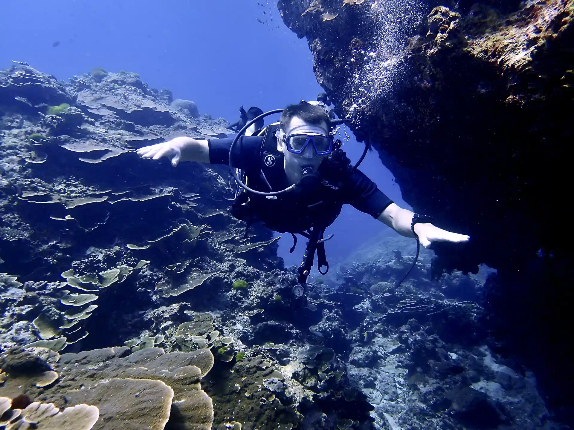 Photo de l'activité