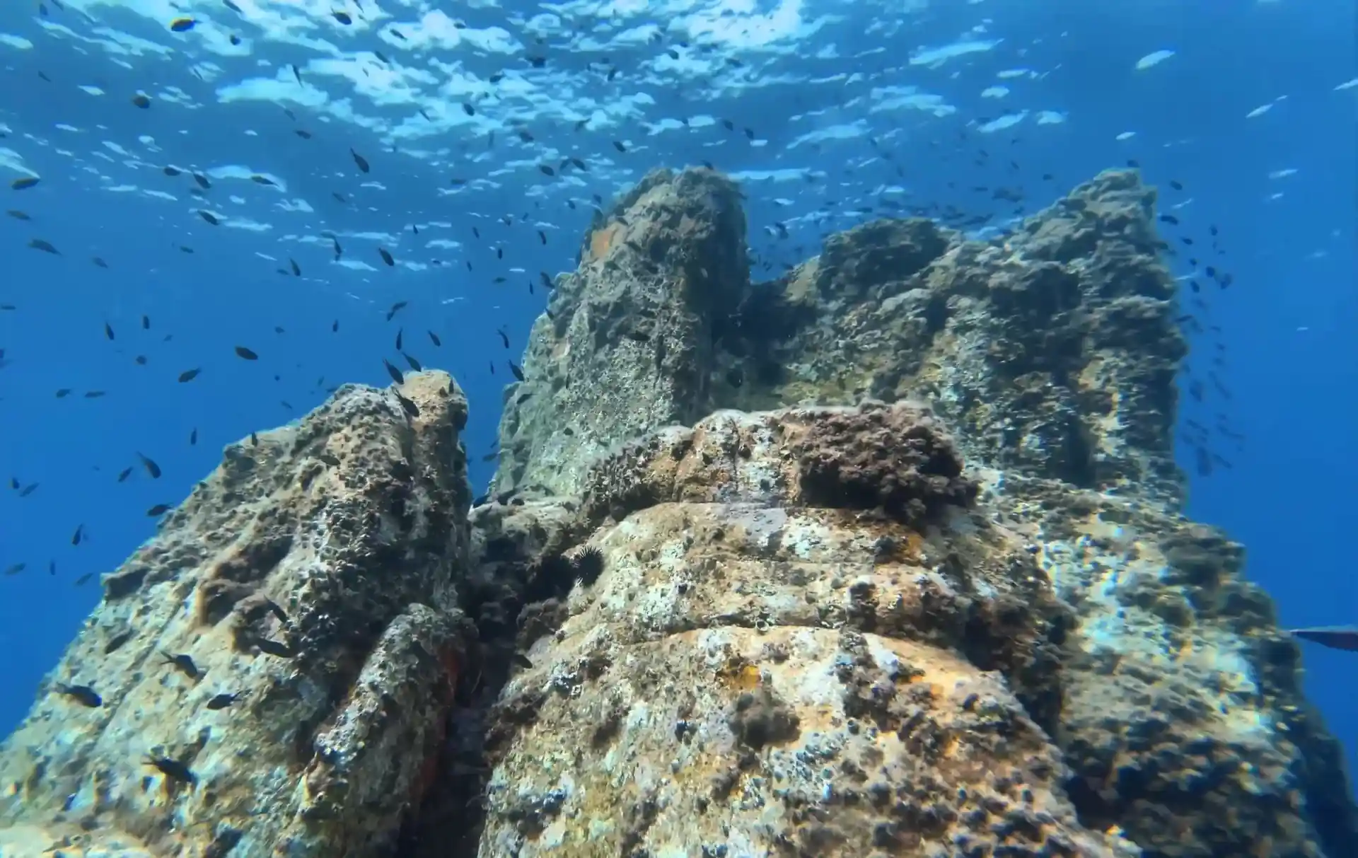 다이빙 포인트 사진