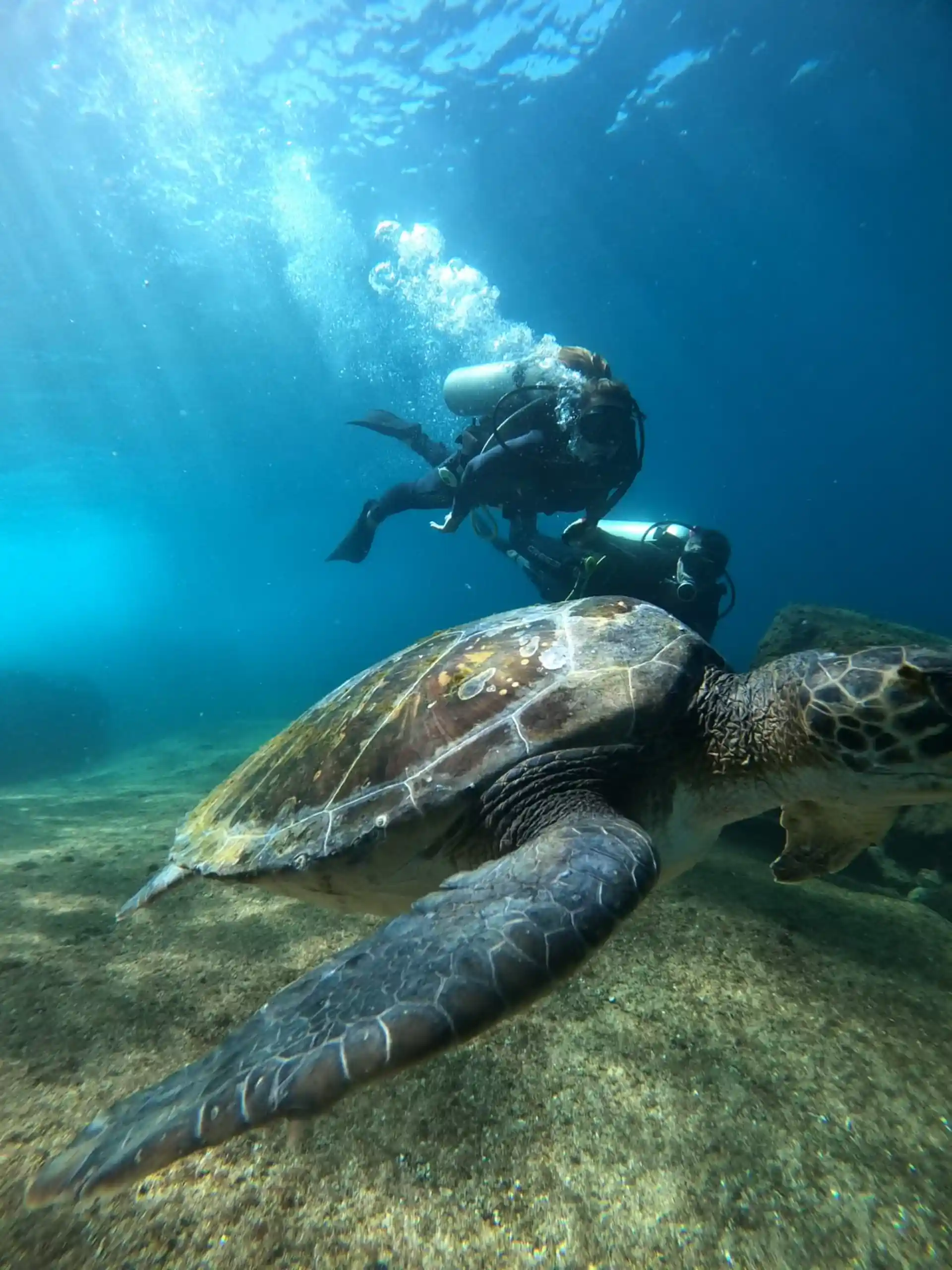 Dive shop photo