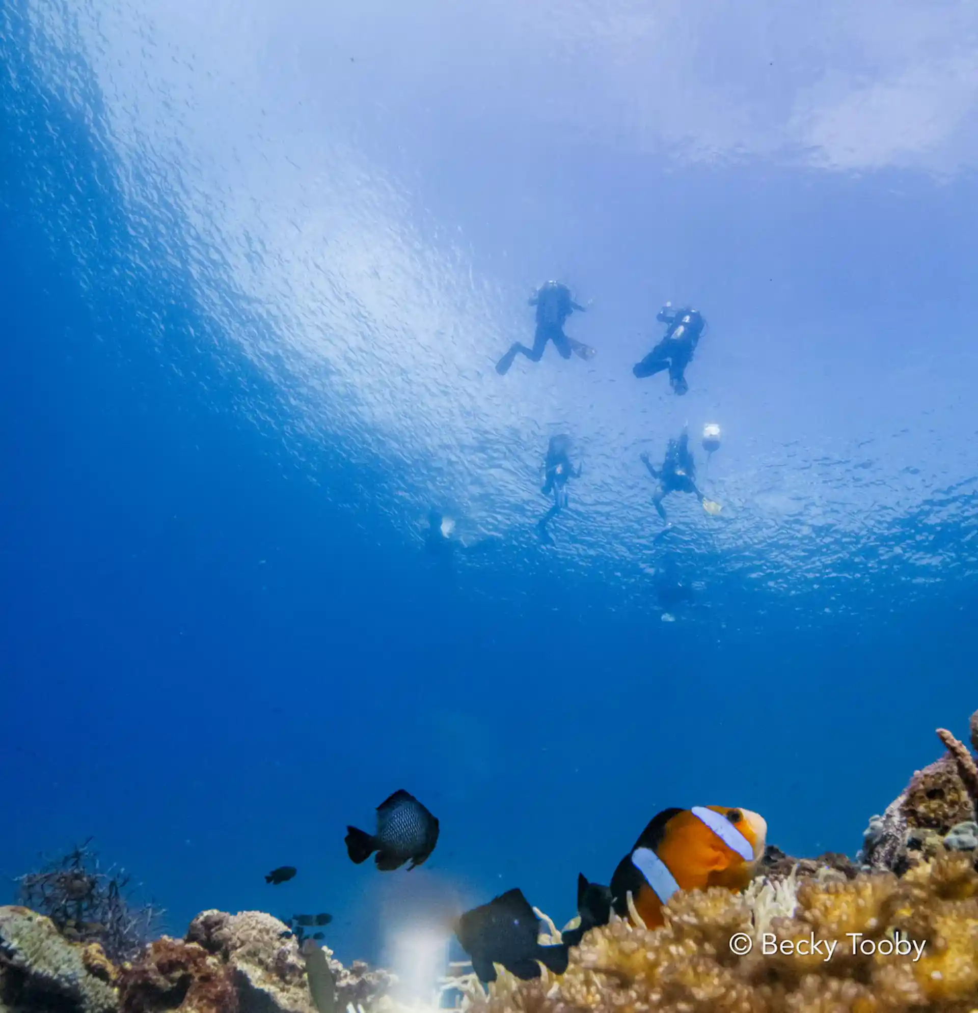 Dive site photo