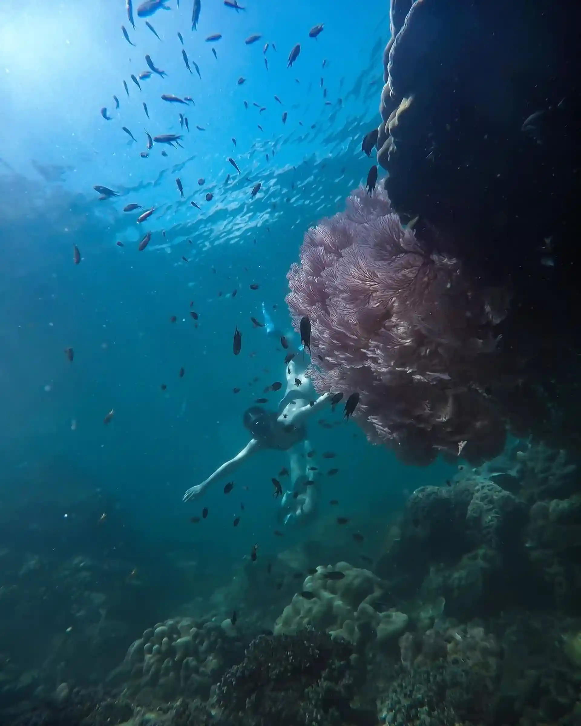 Dive shop photo