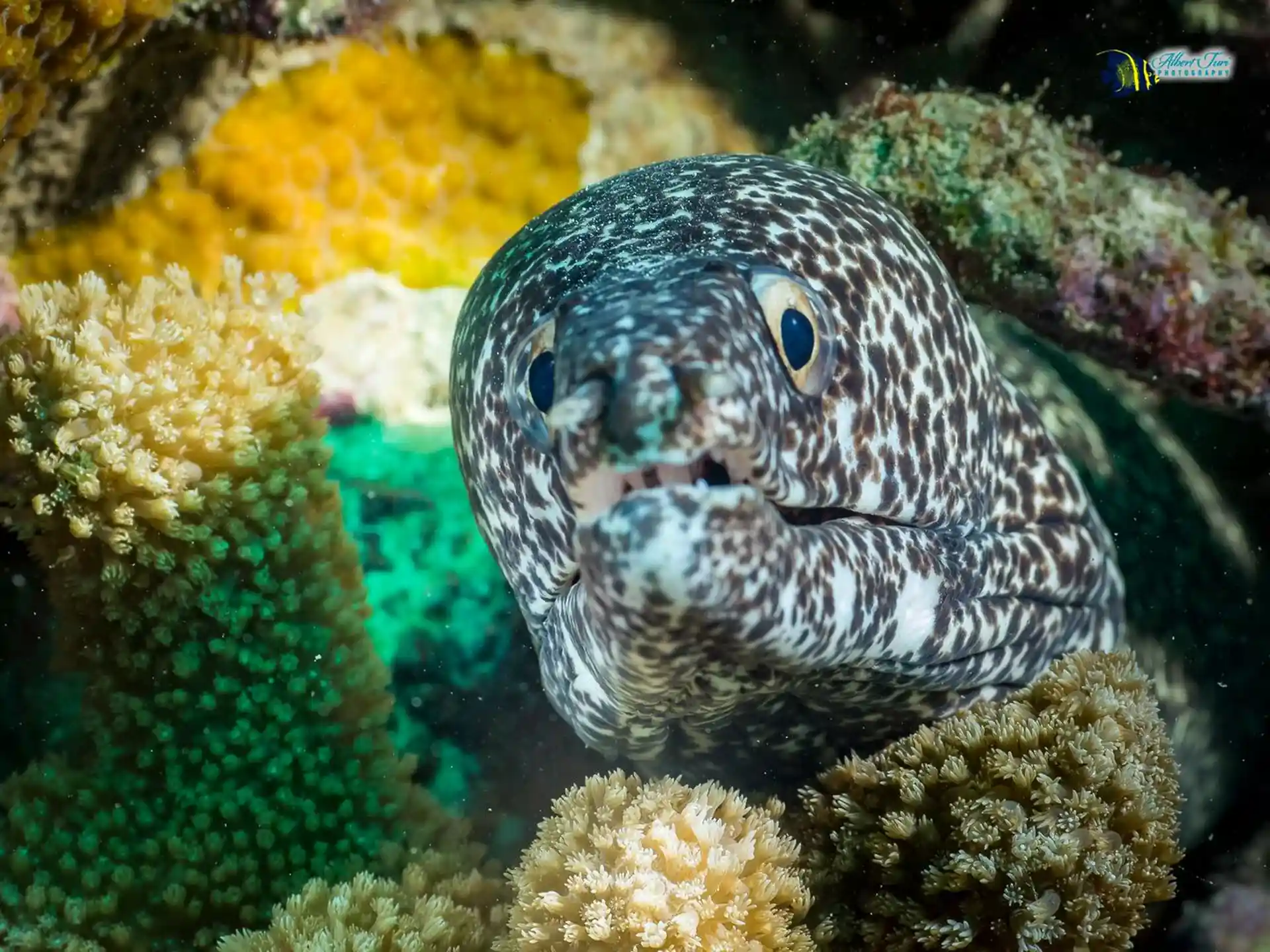 Foto des Tauchplatzes