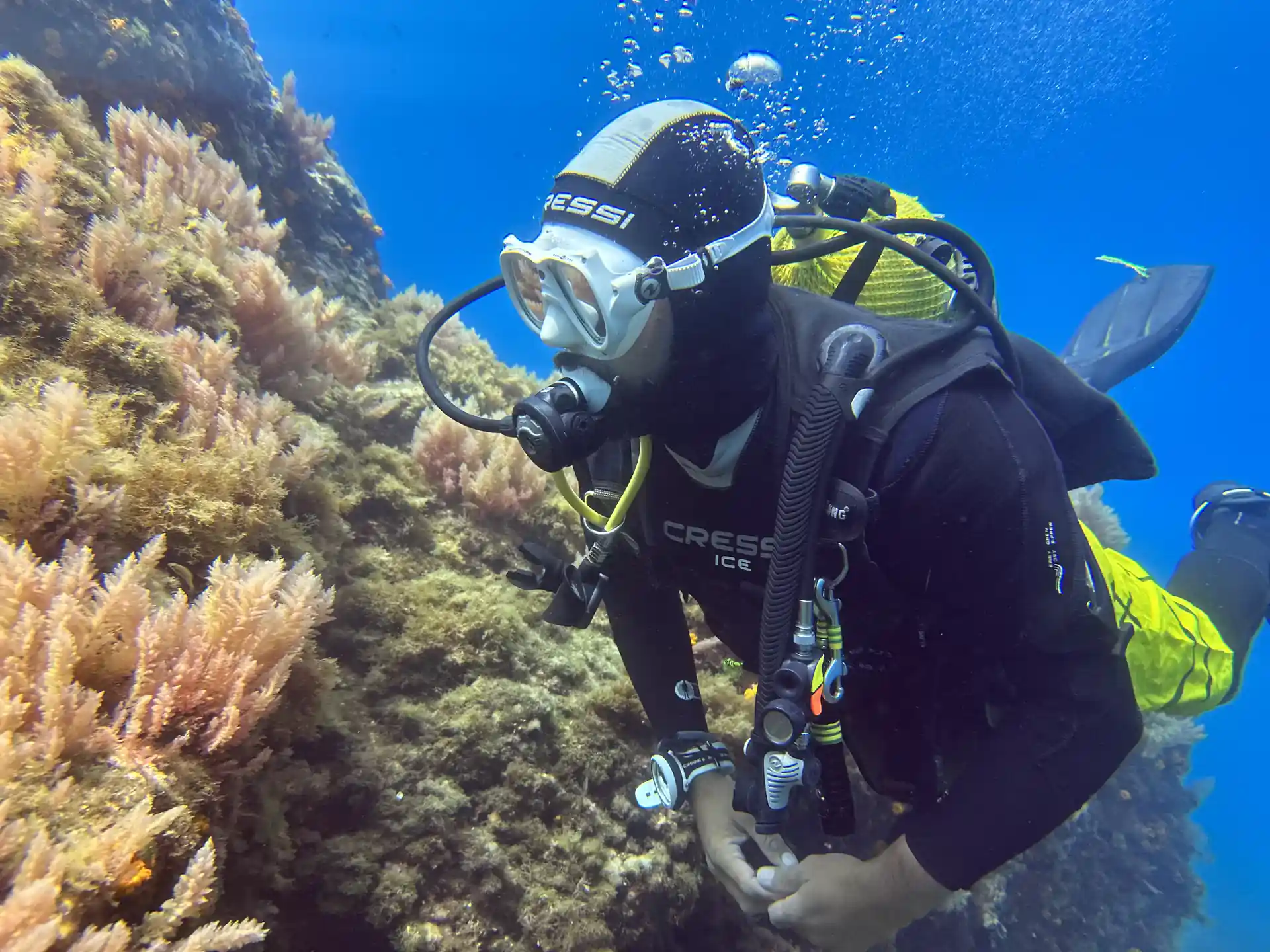 Foto de la tienda de buceo