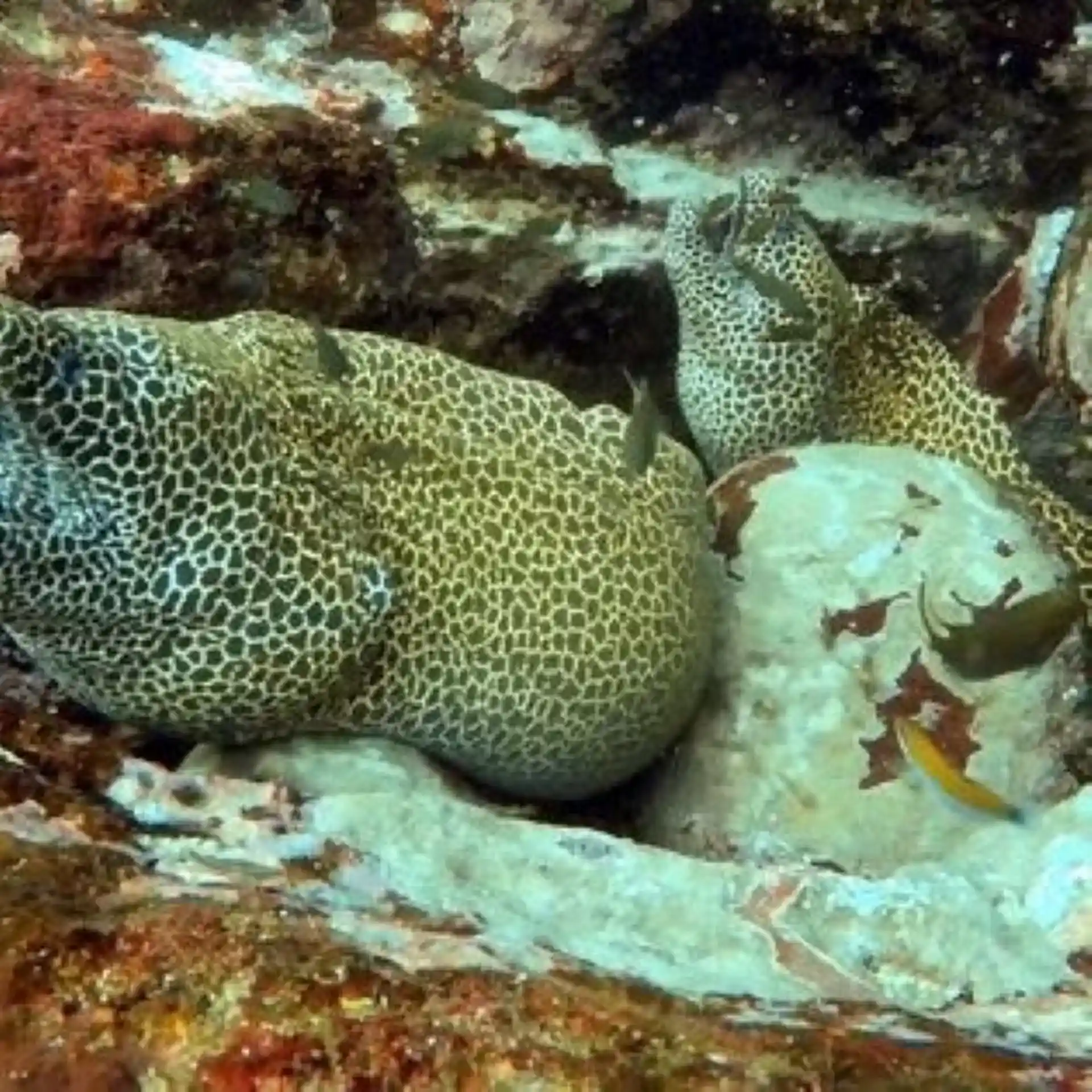 Foto des Tauchplatzes