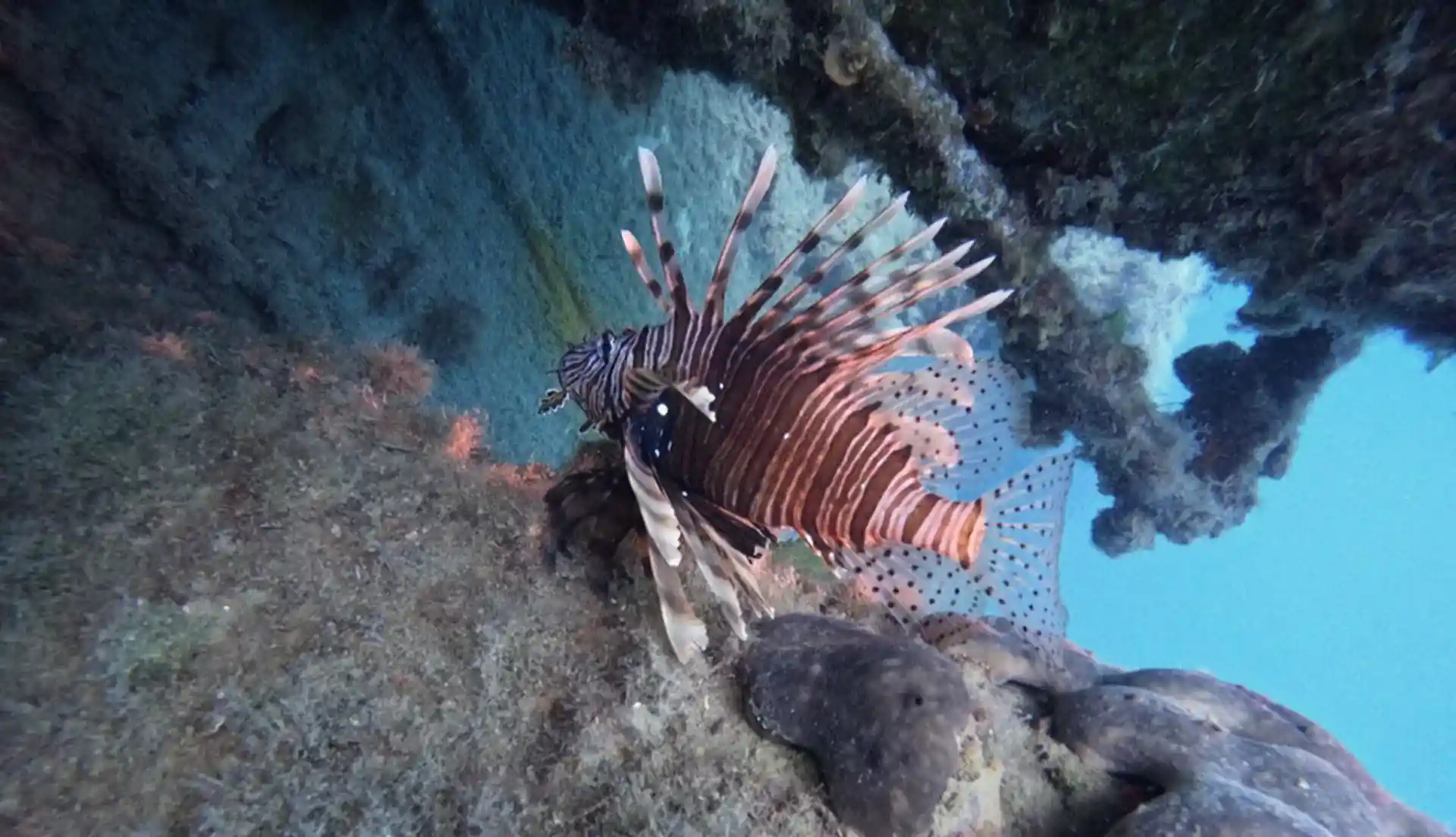 Dive shop photo