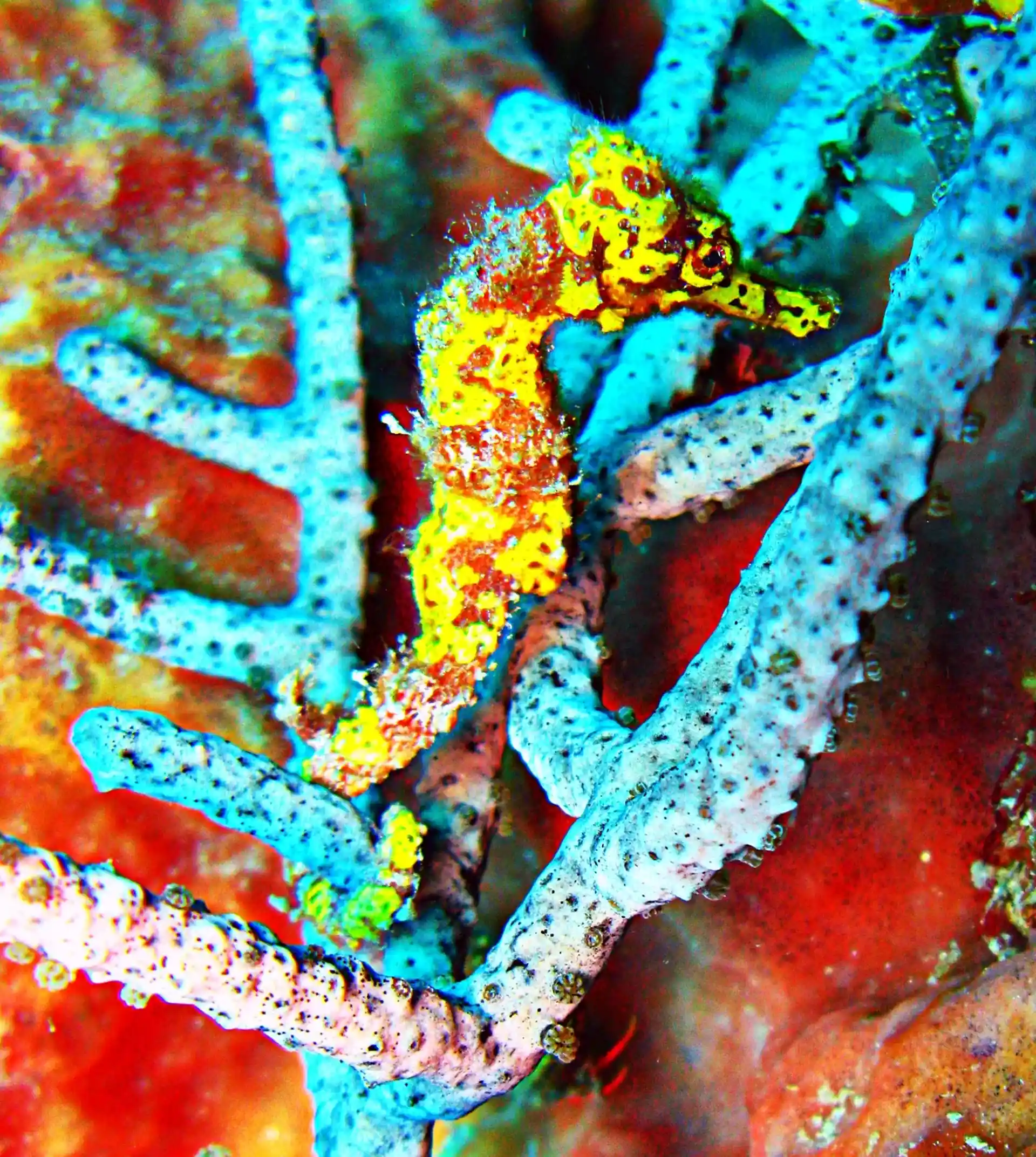 Foto des Tauchplatzes