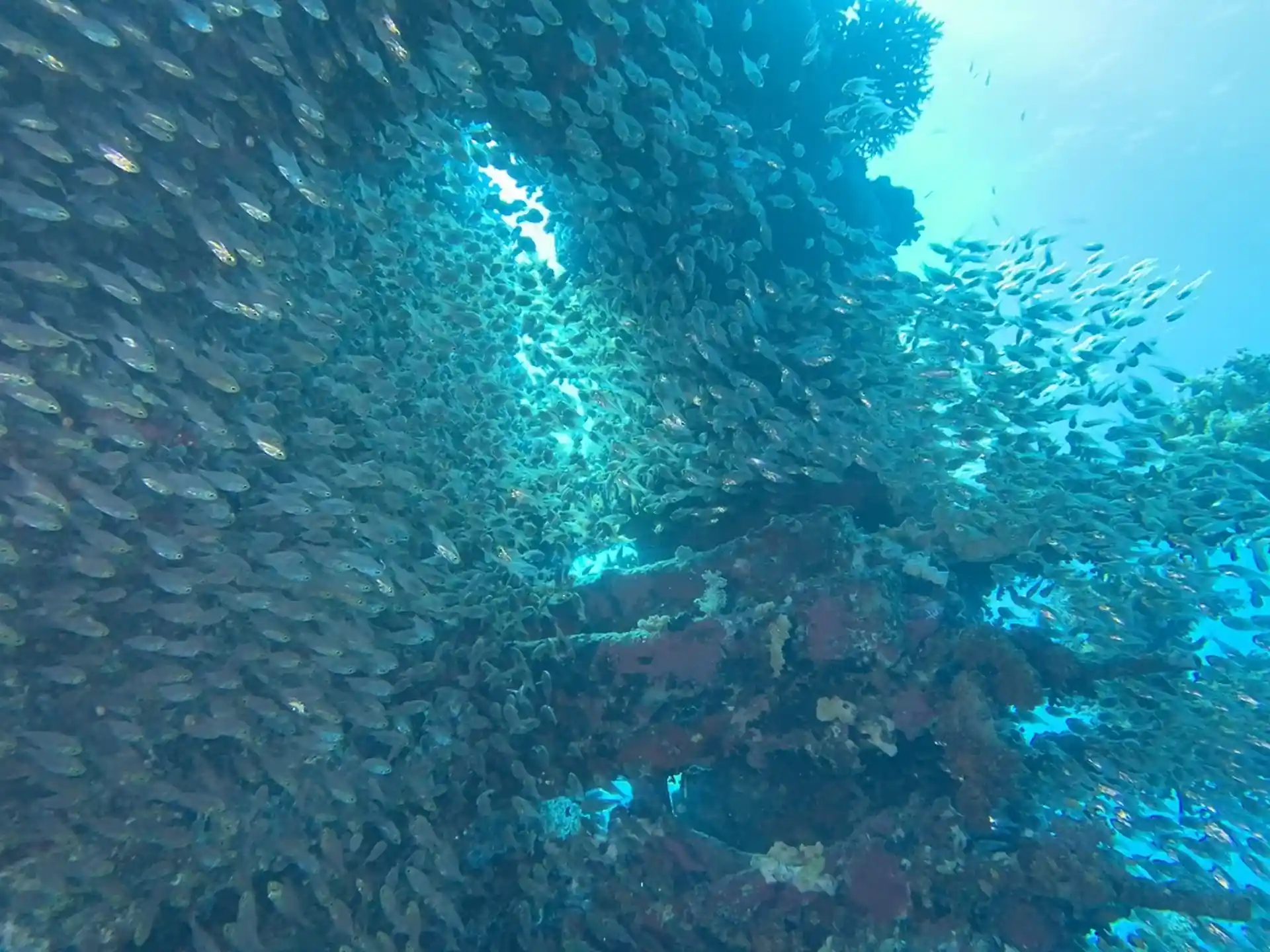 Activity photo